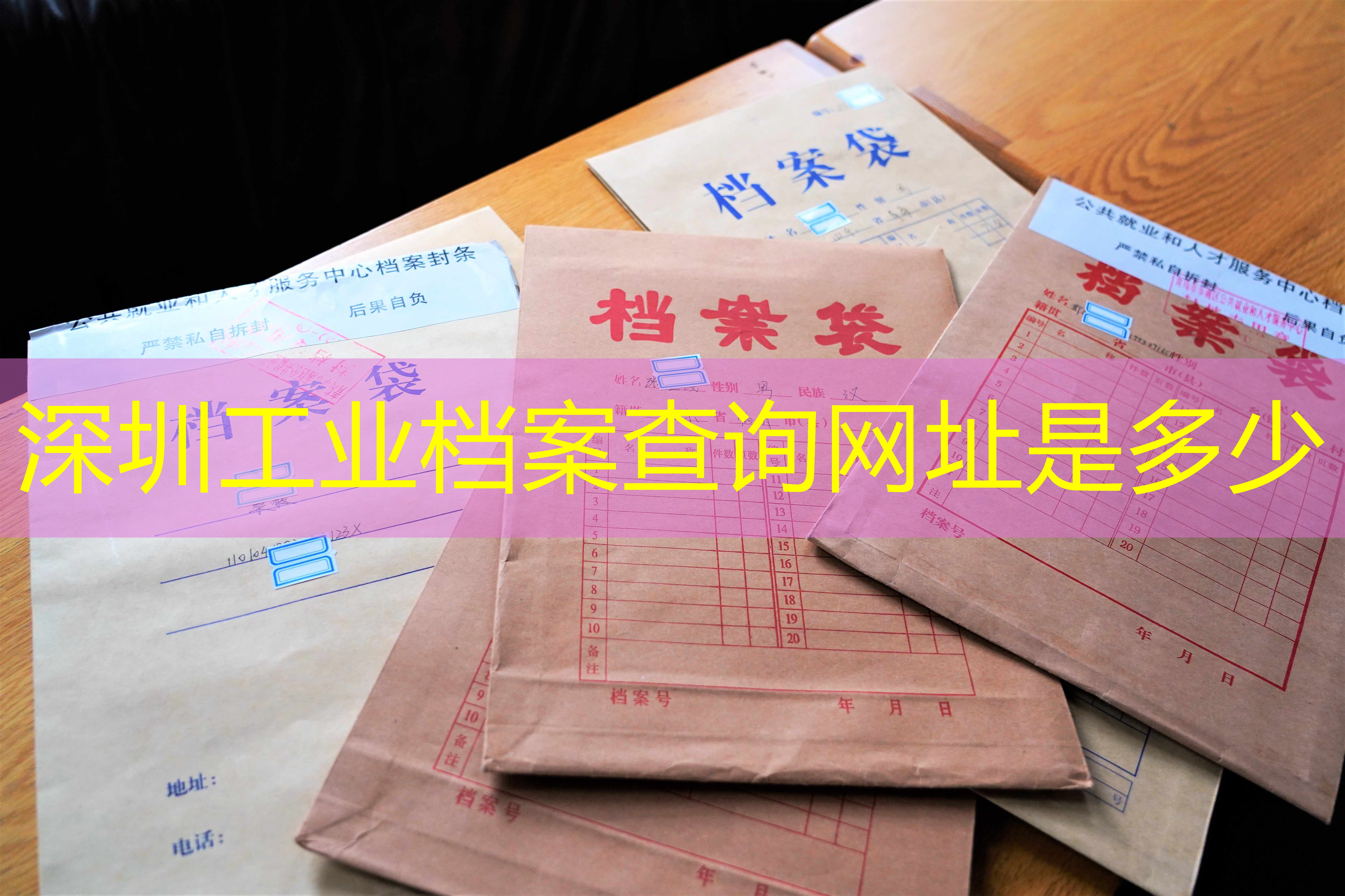档案查询