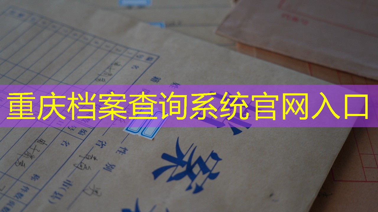 档案查询