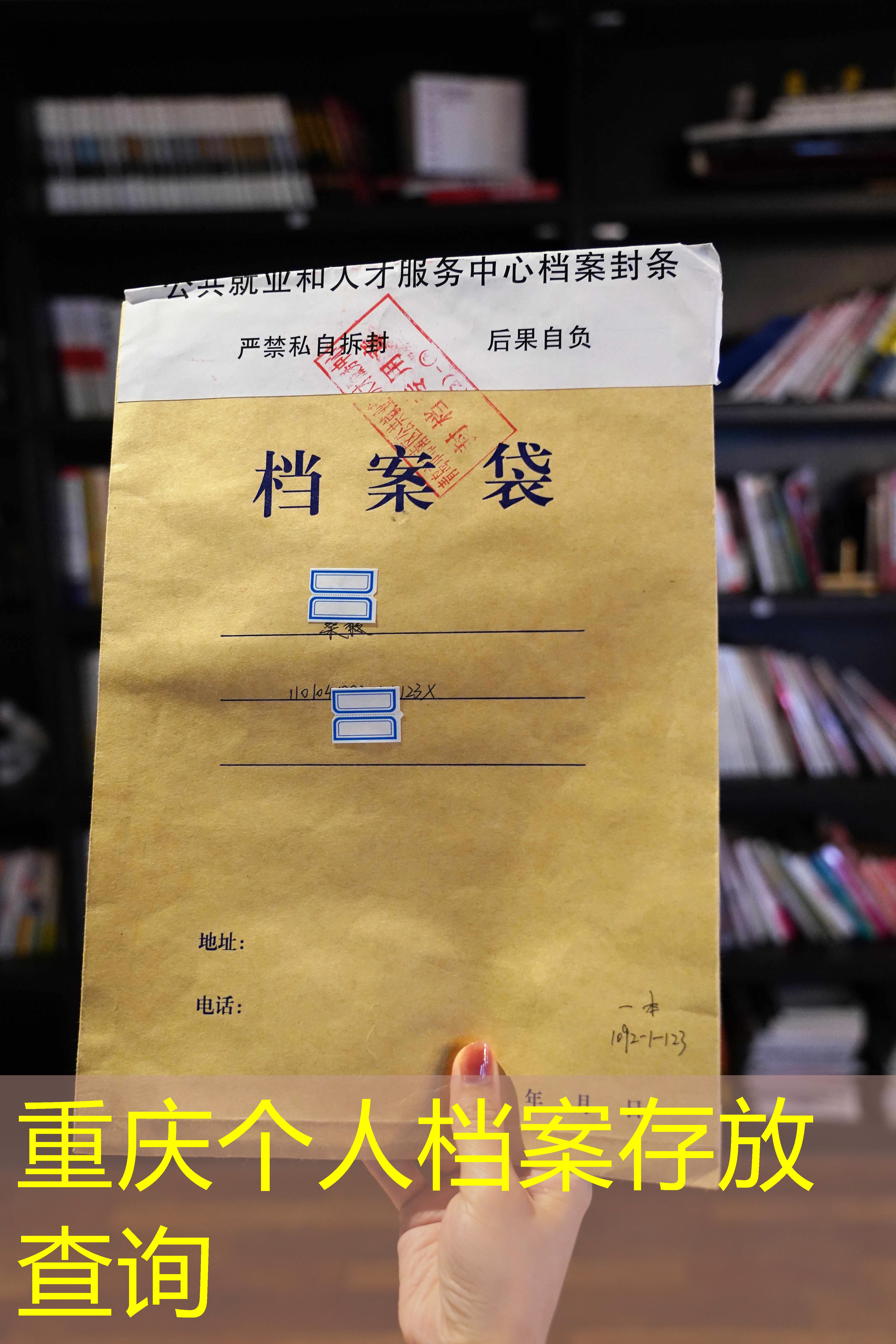 档案查询