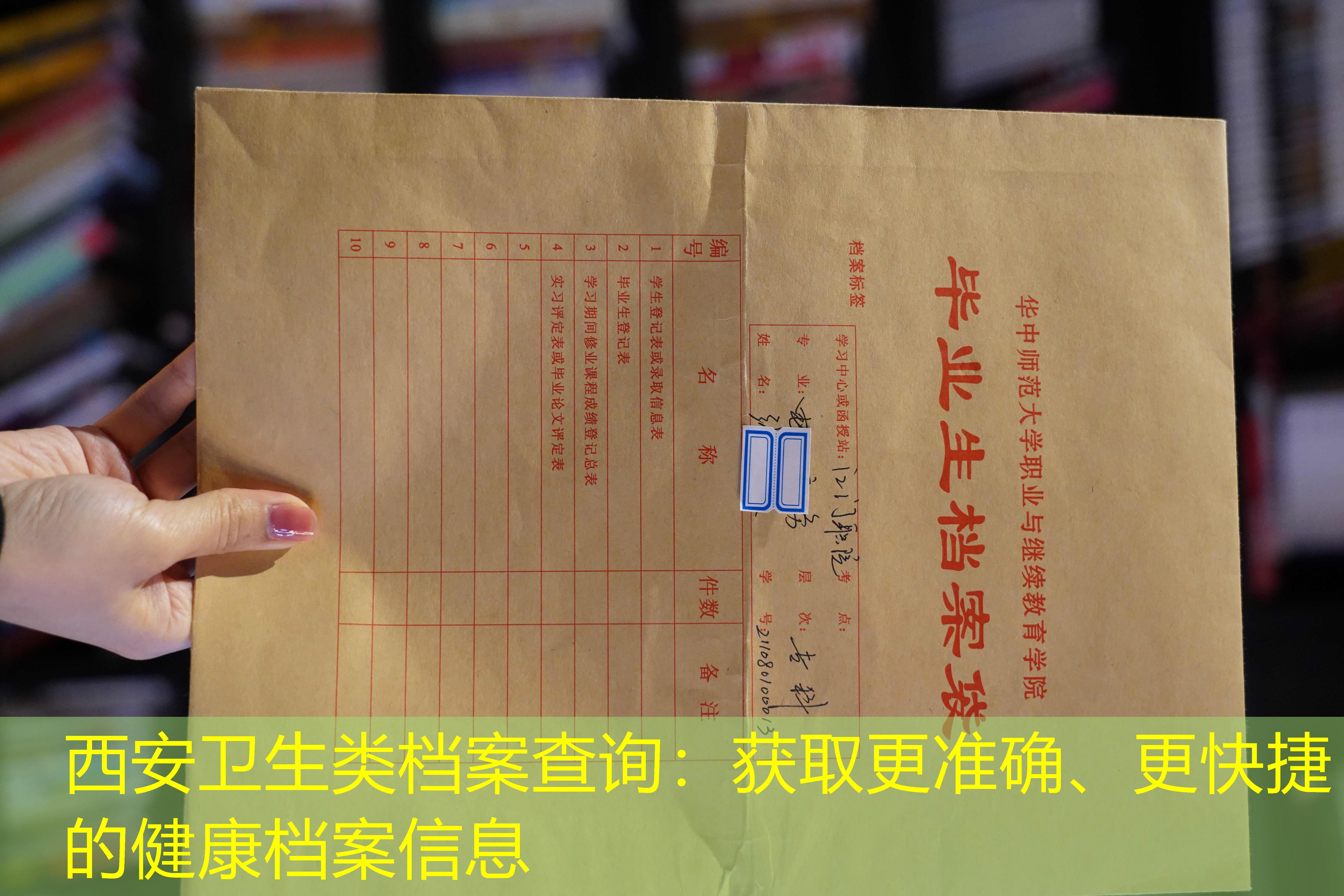 档案查询