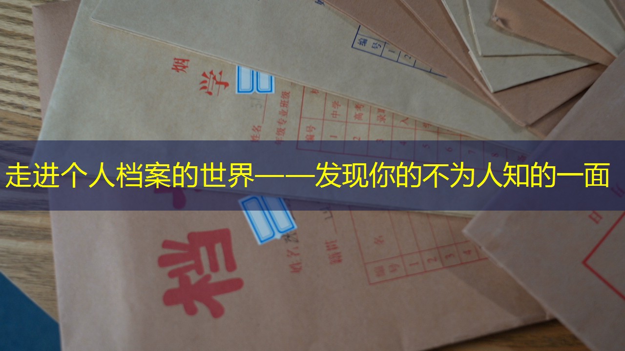 档案查询