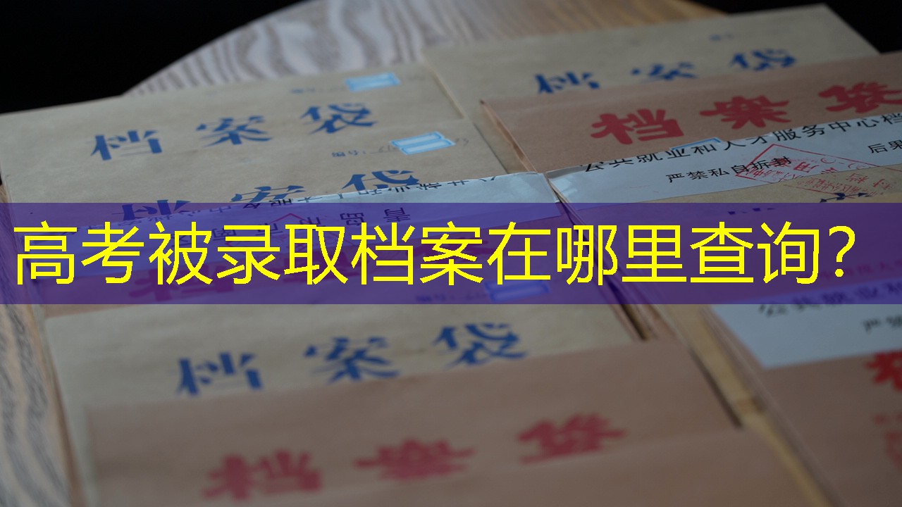 档案查询