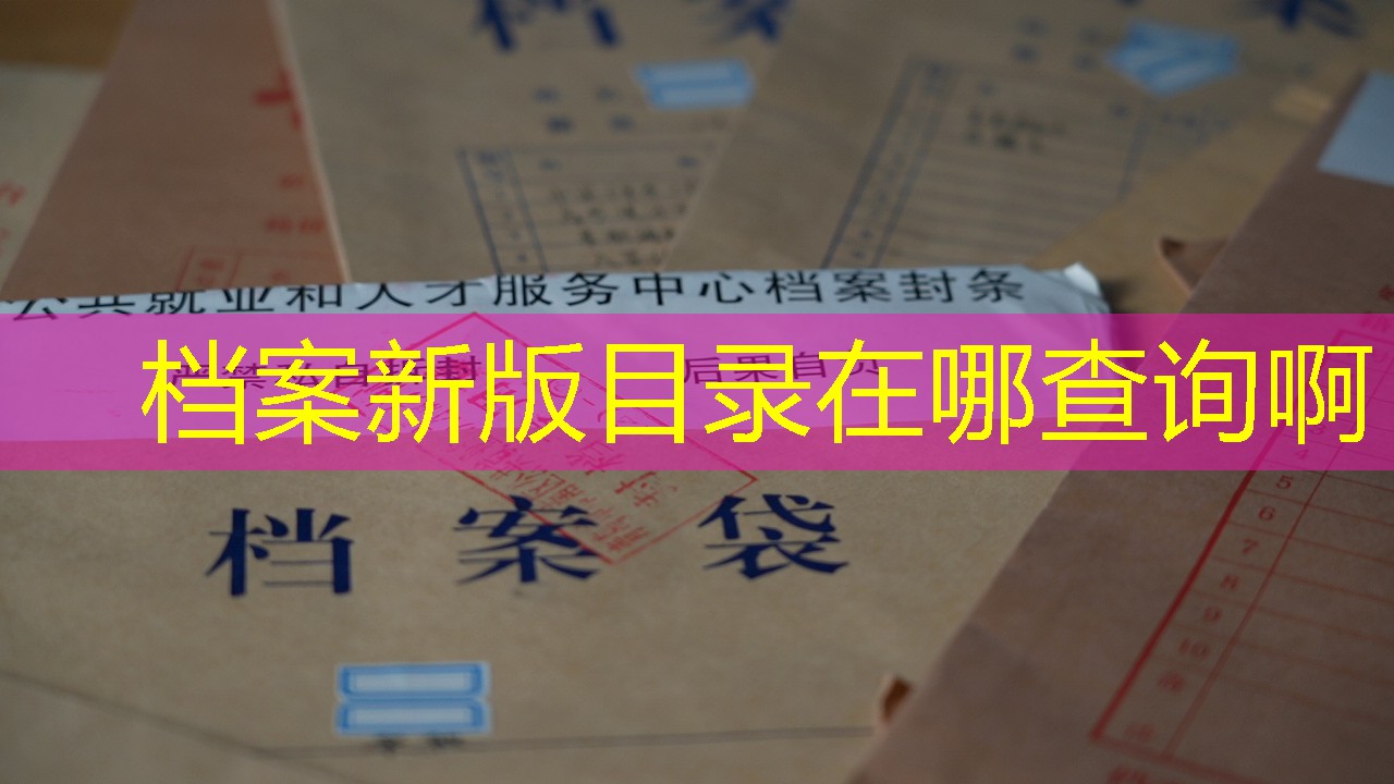 档案查询
