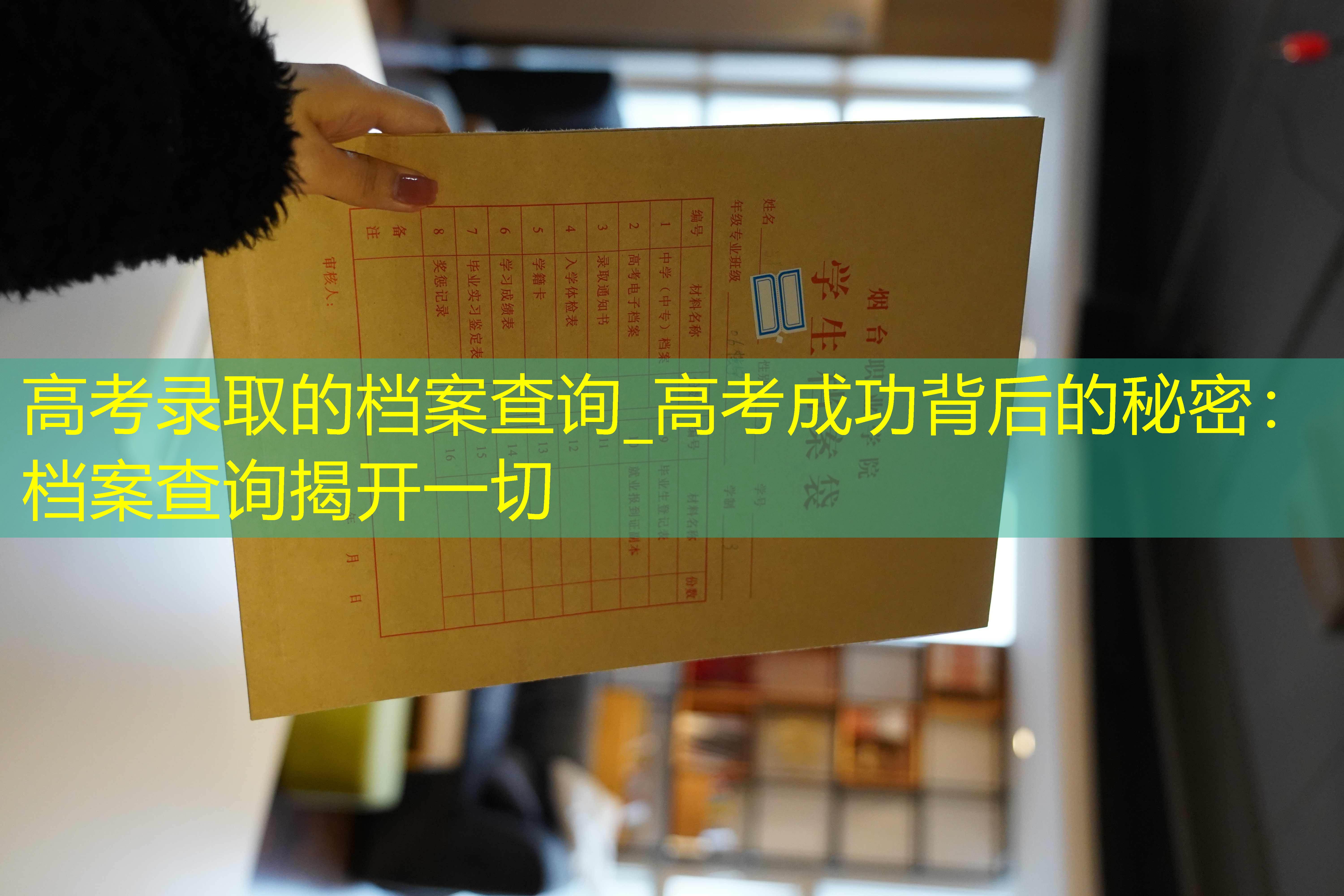 档案查询