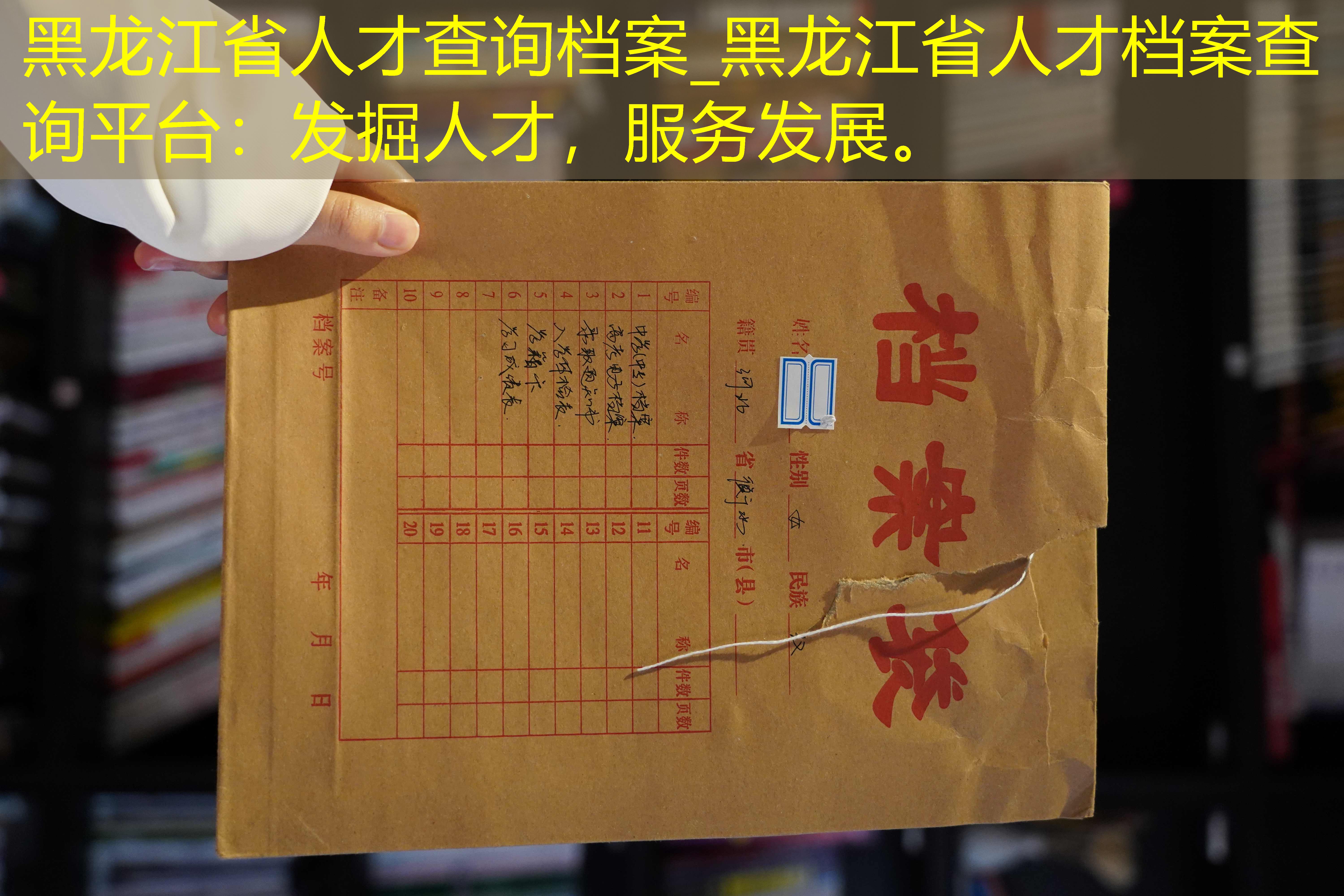 档案查询