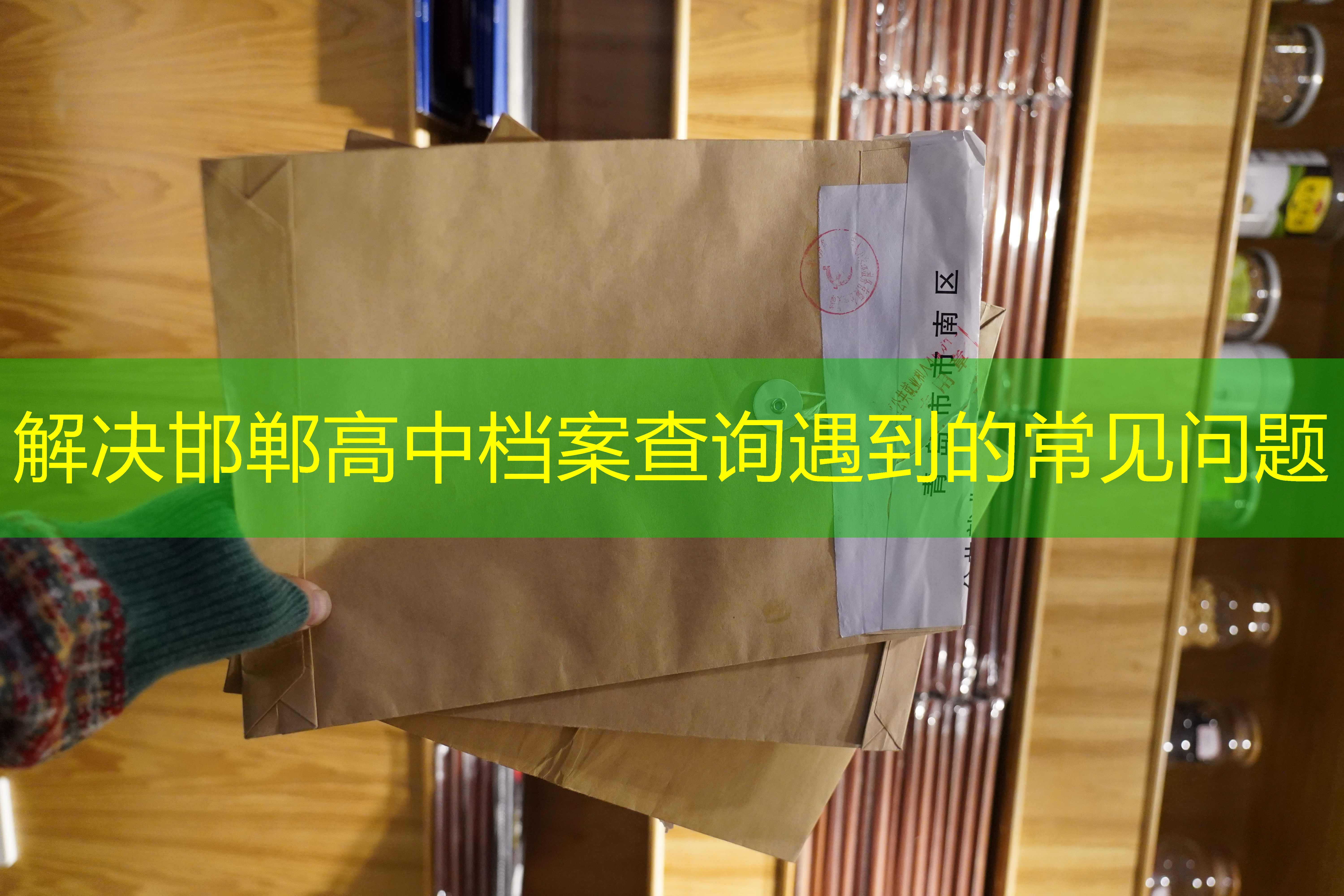 档案查询