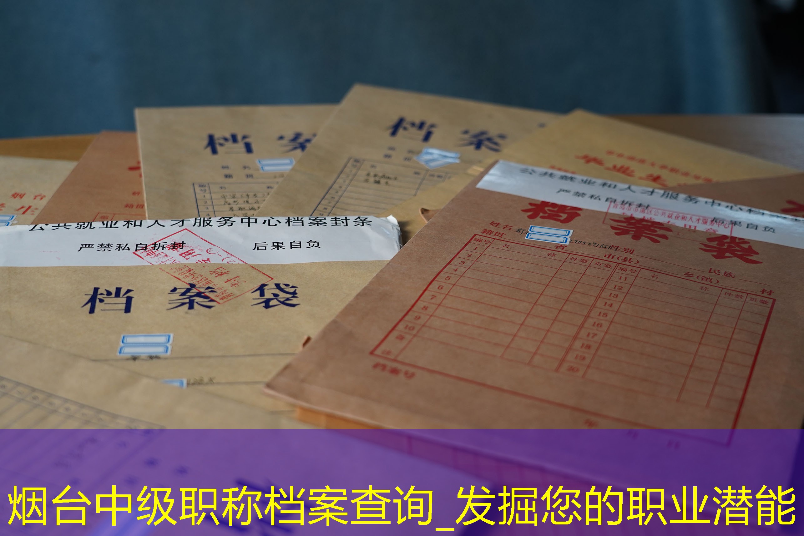 档案查询