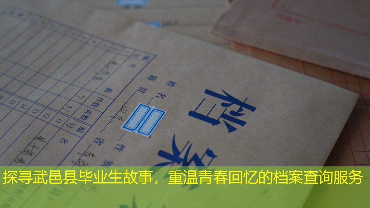 档案查询