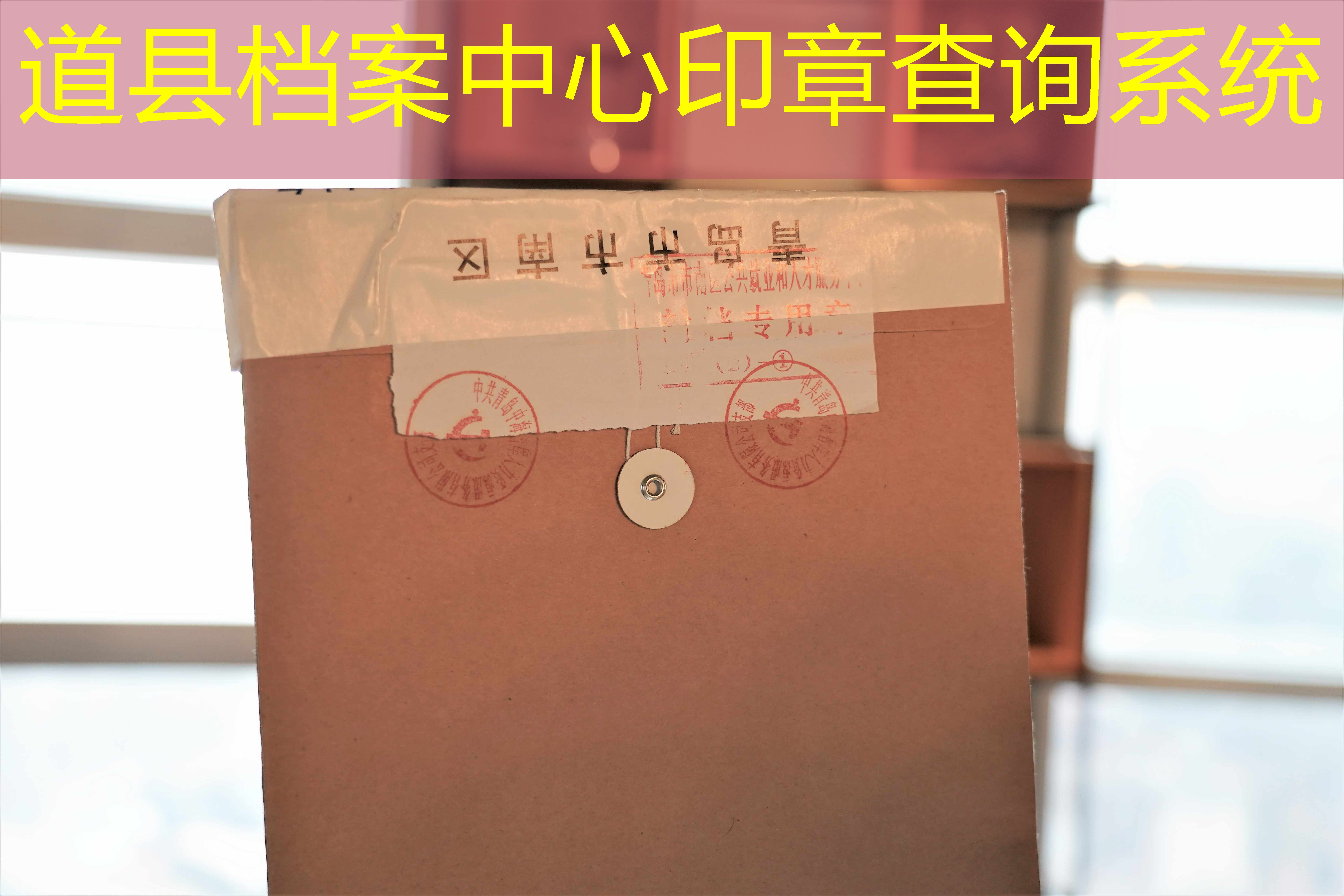 档案查询