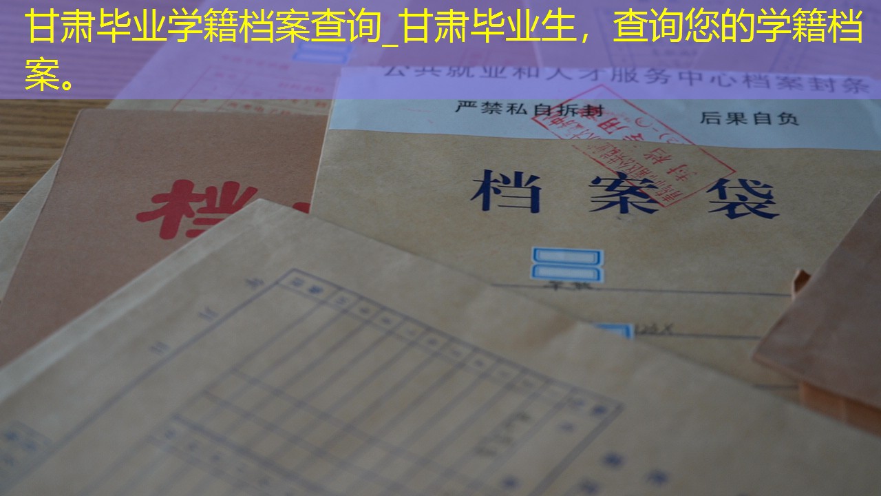 档案查询