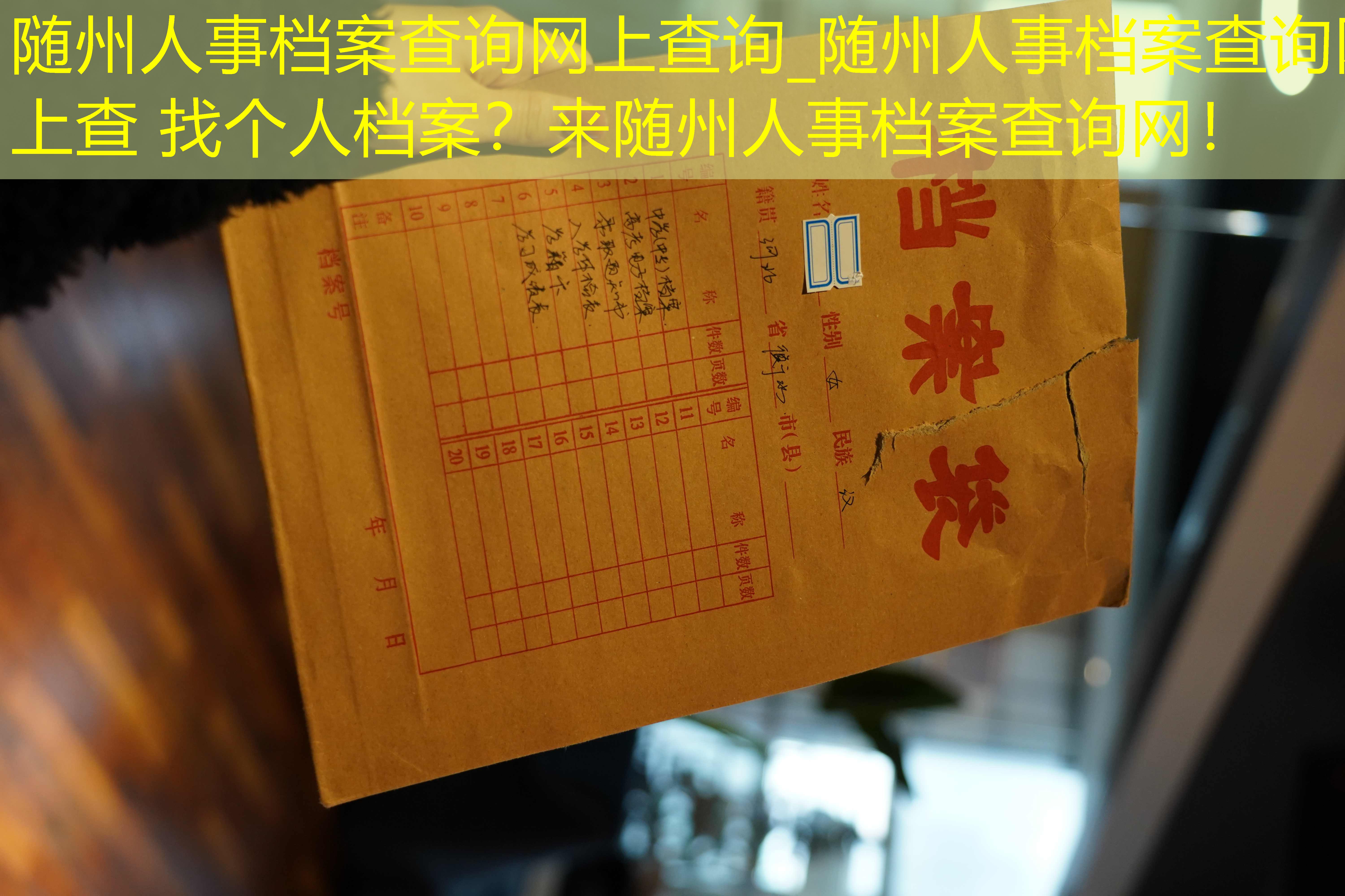 档案查询