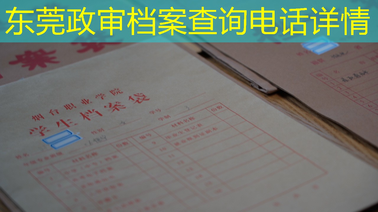 档案查询