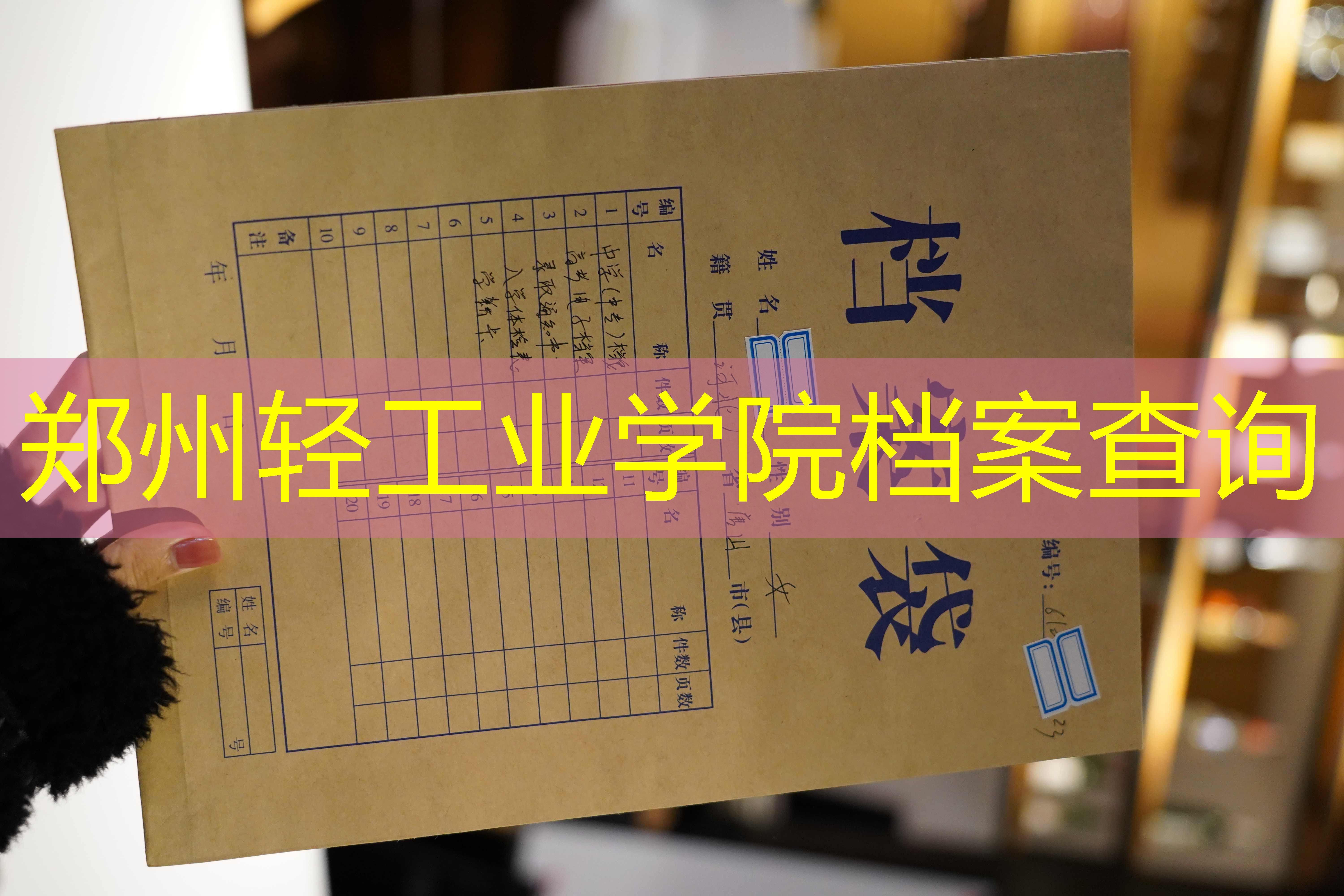 档案查询