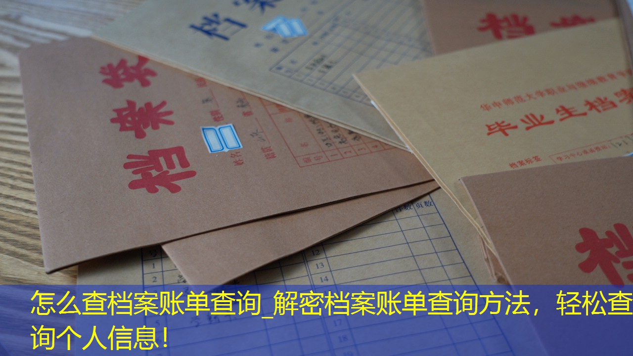 档案查询