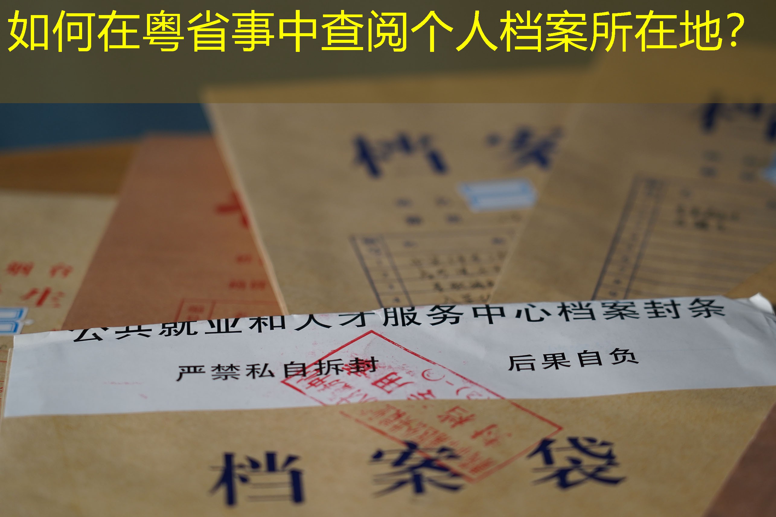 档案查询