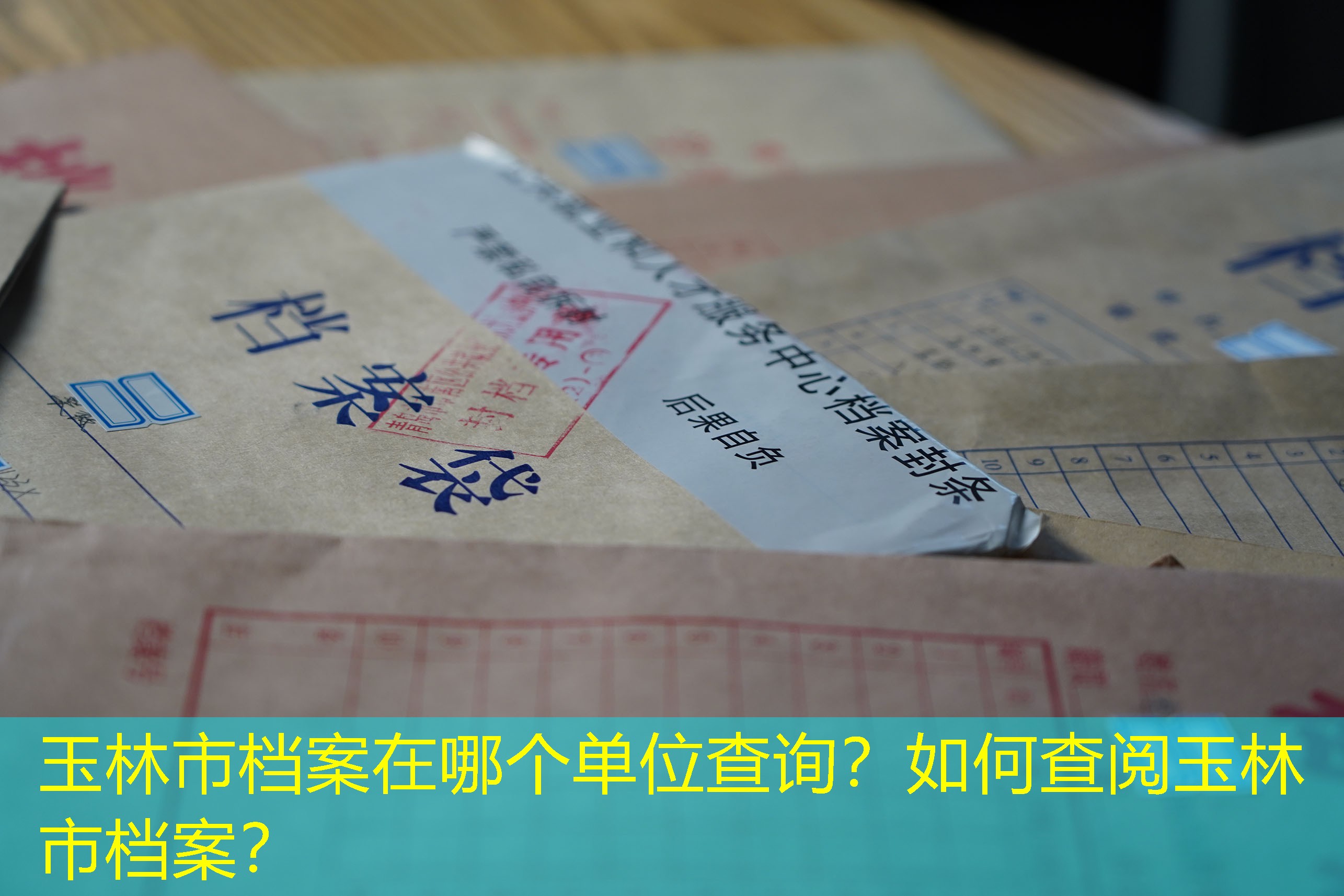 档案查询