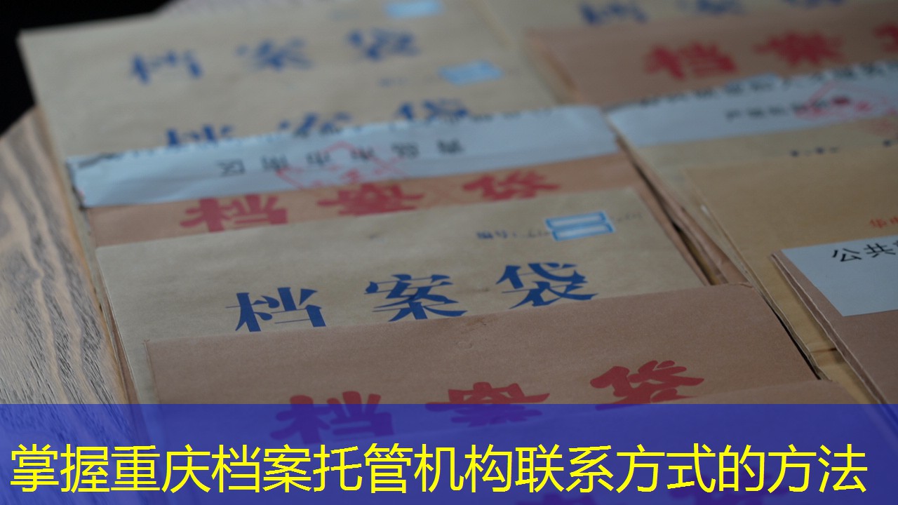 档案查询
