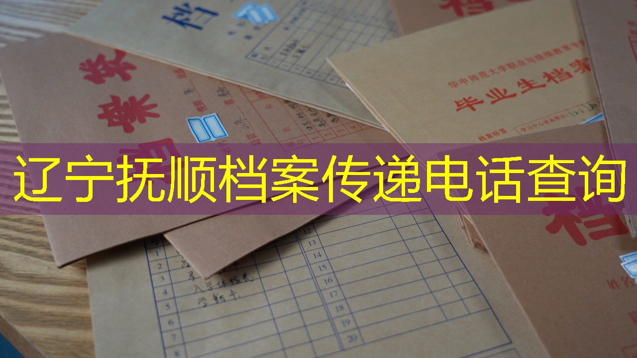 档案查询