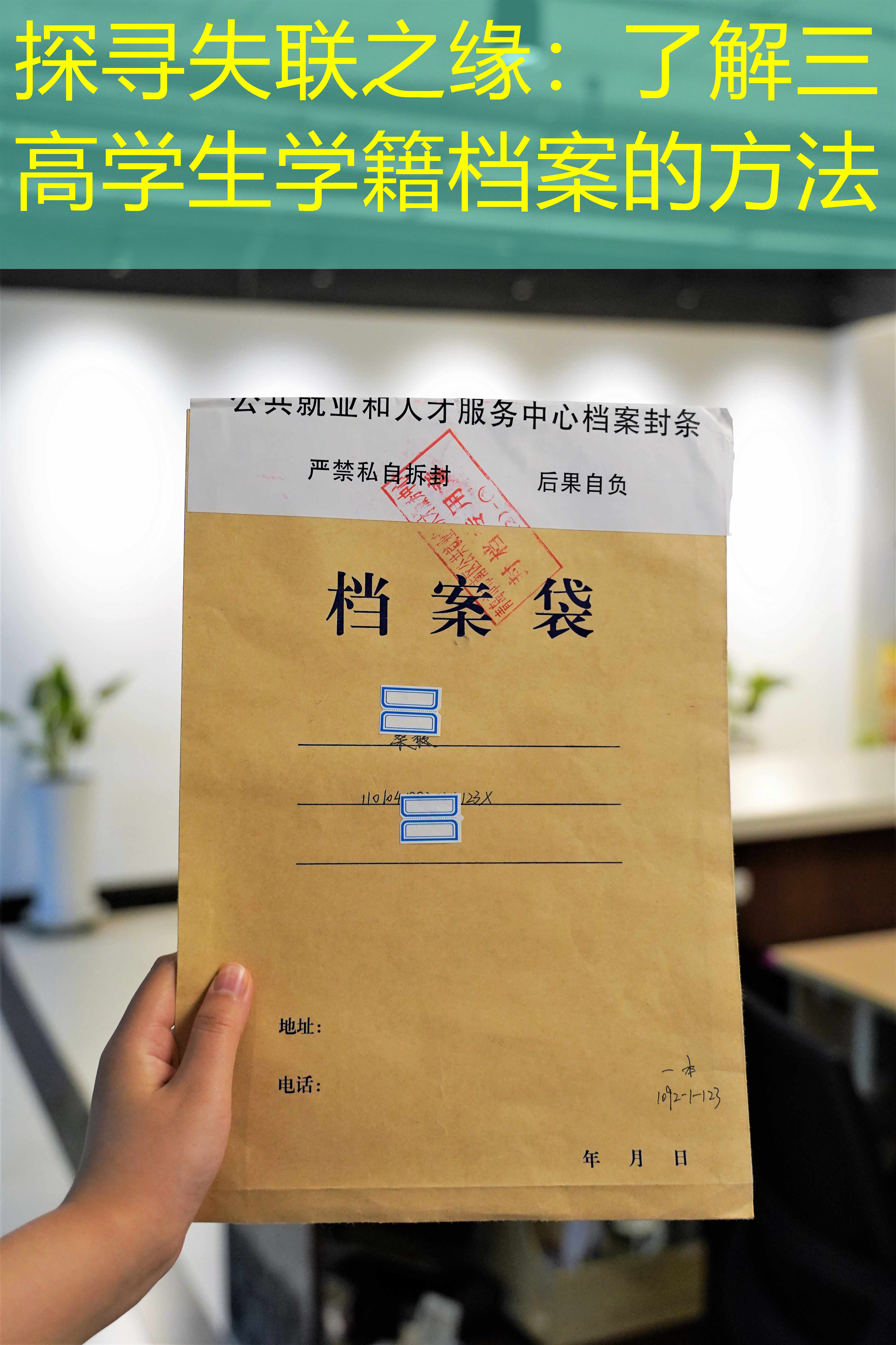 档案查询