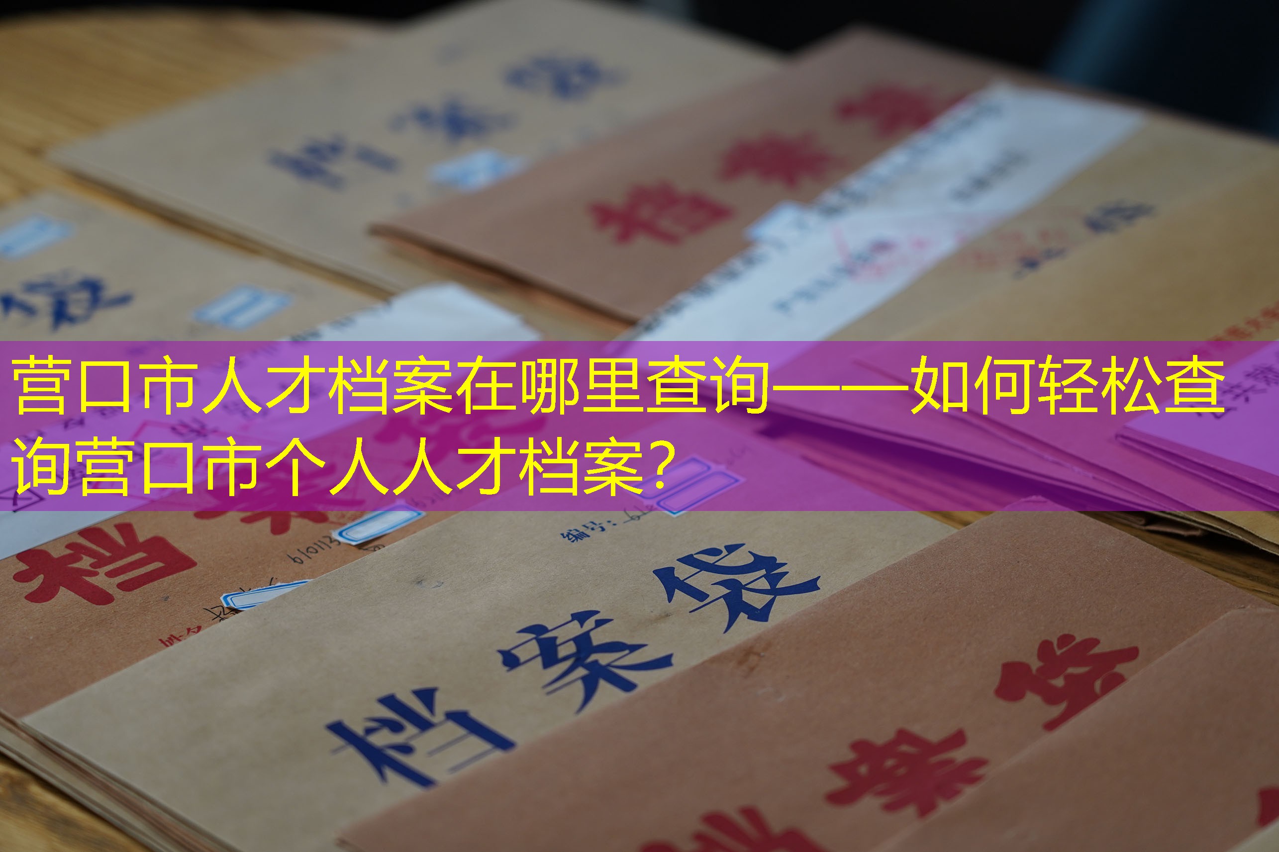 档案查询