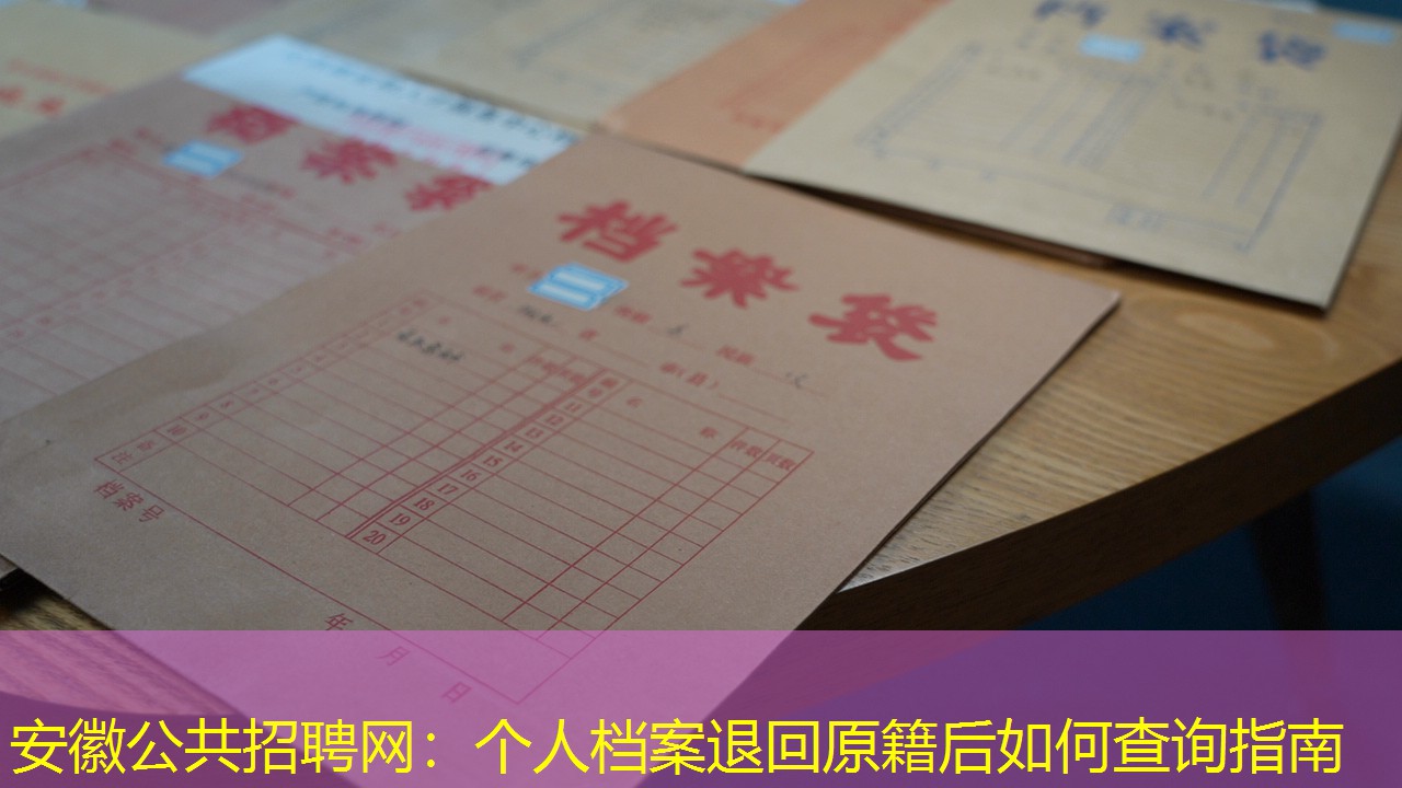 档案查询