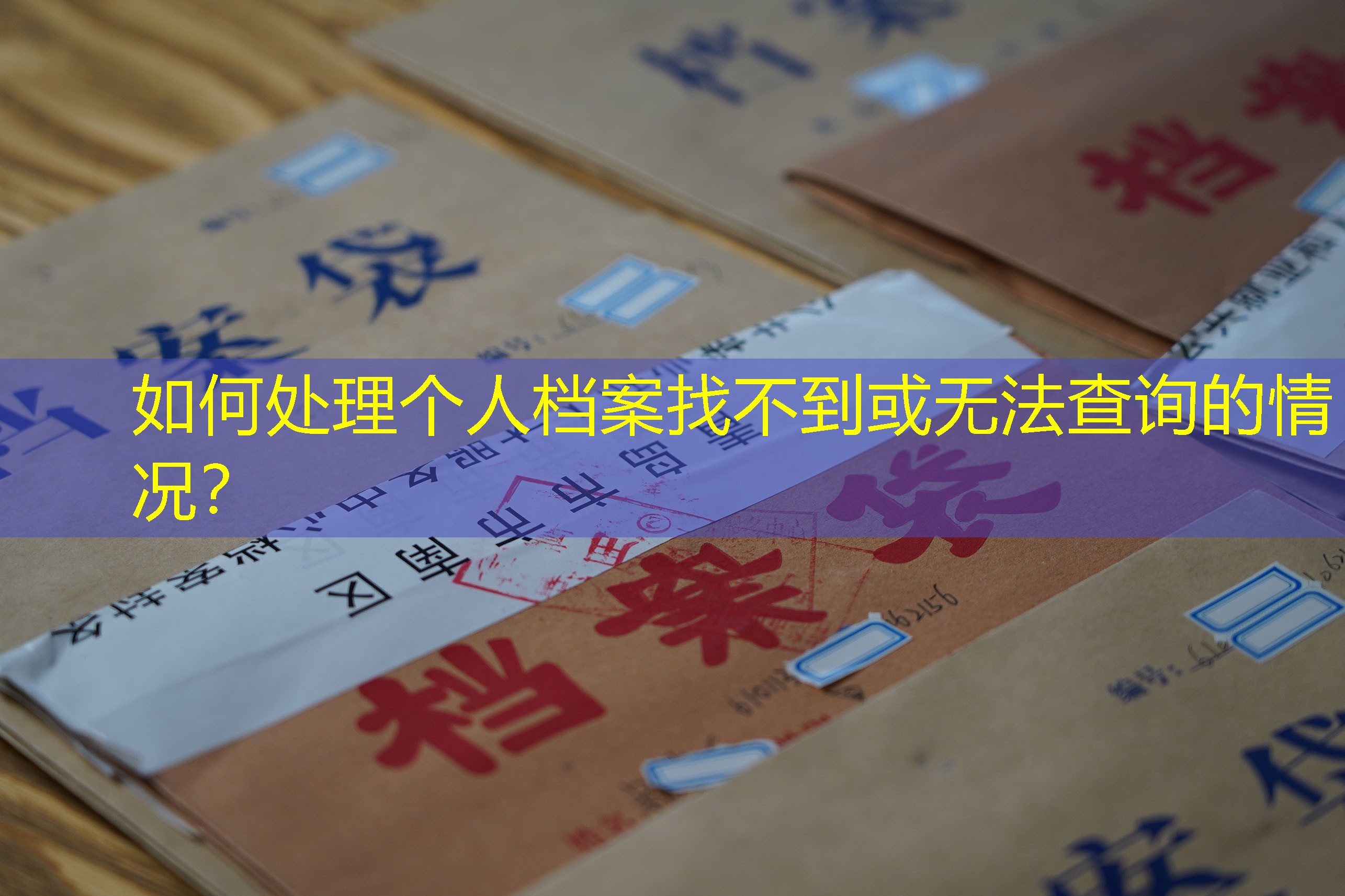 档案查询