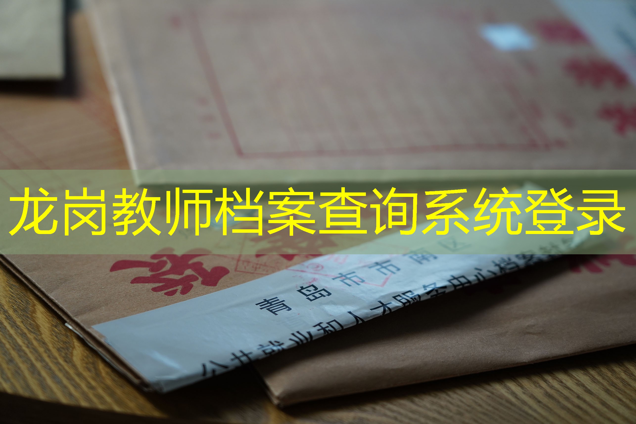 档案查询