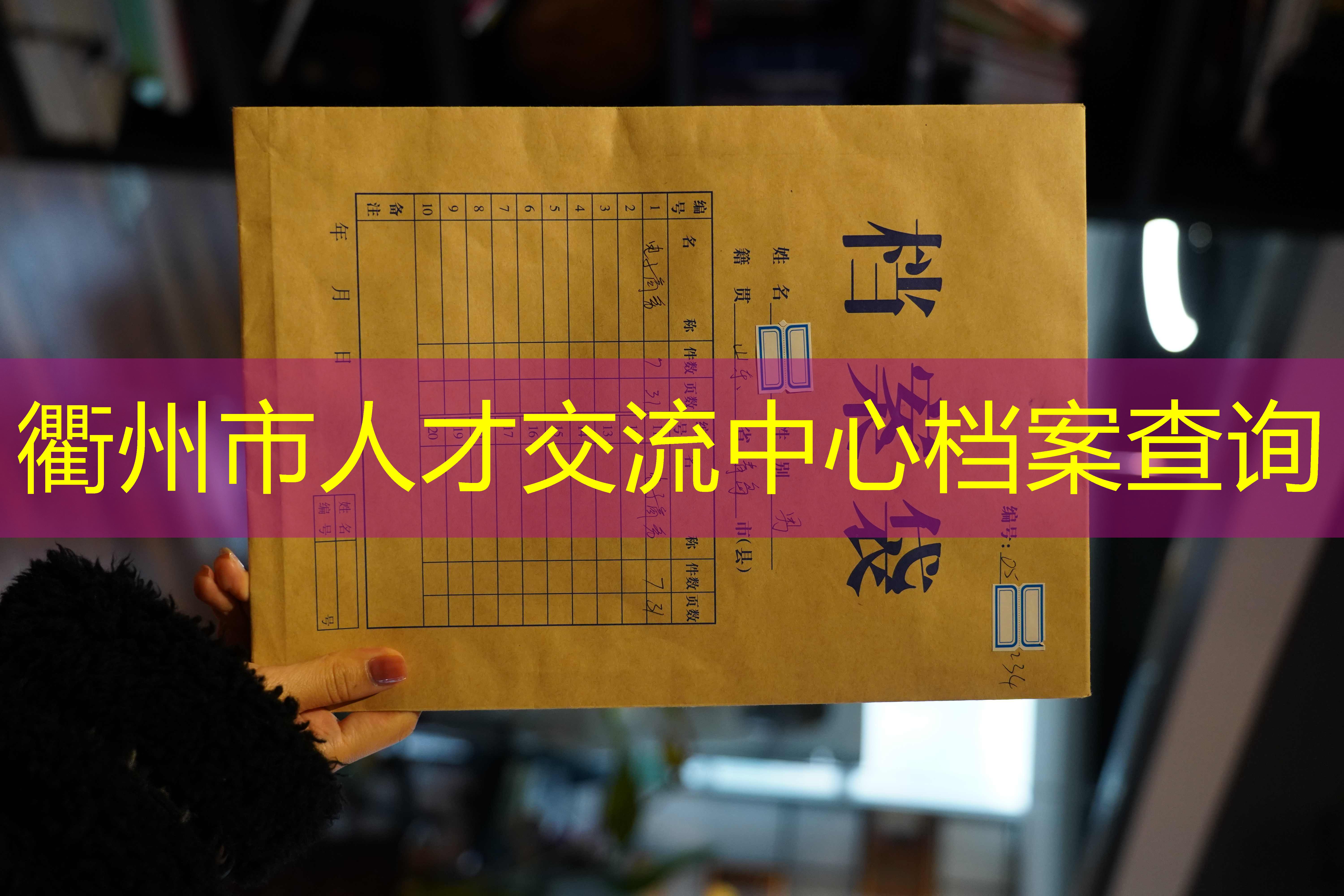 档案查询