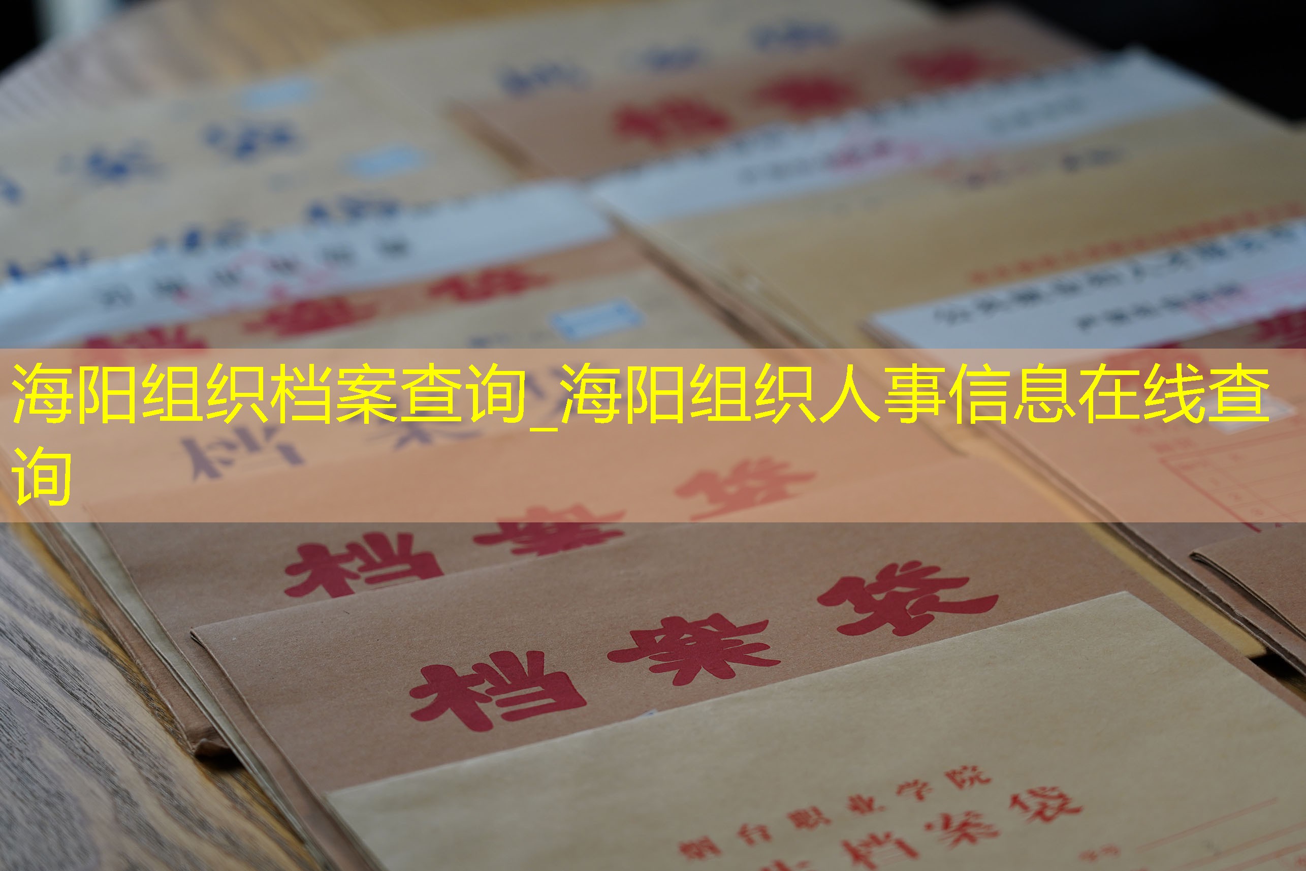 档案查询