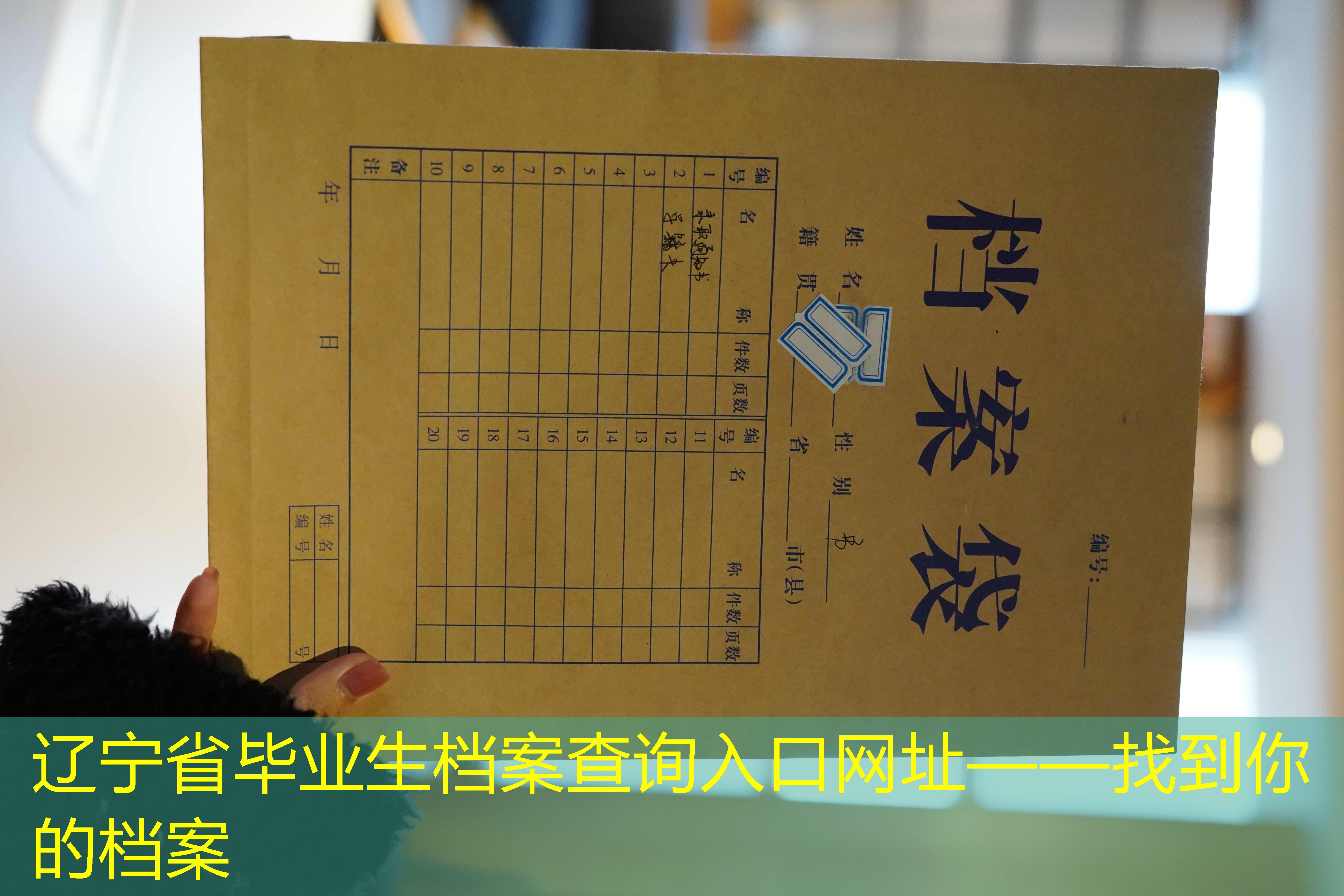 档案查询