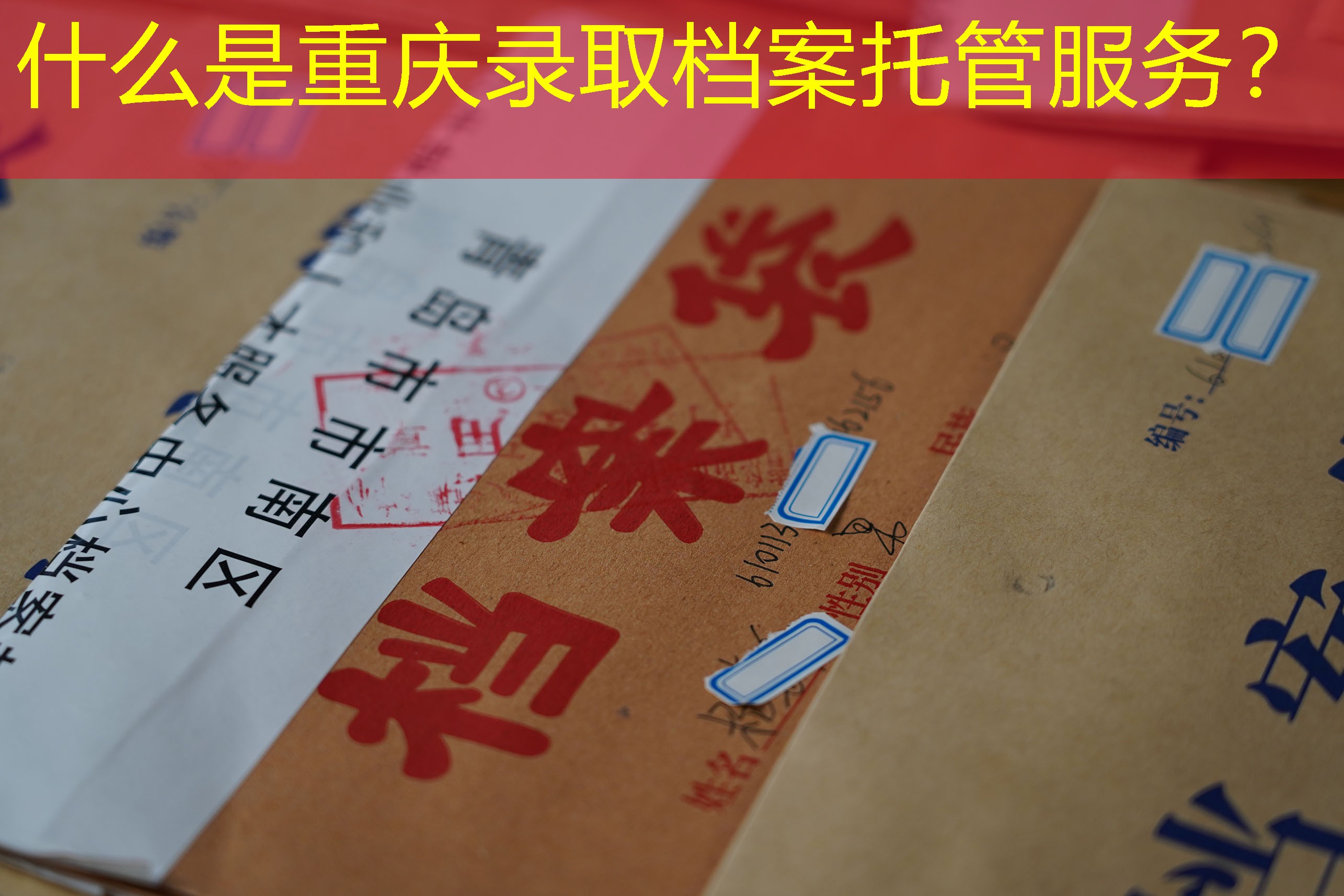 档案查询