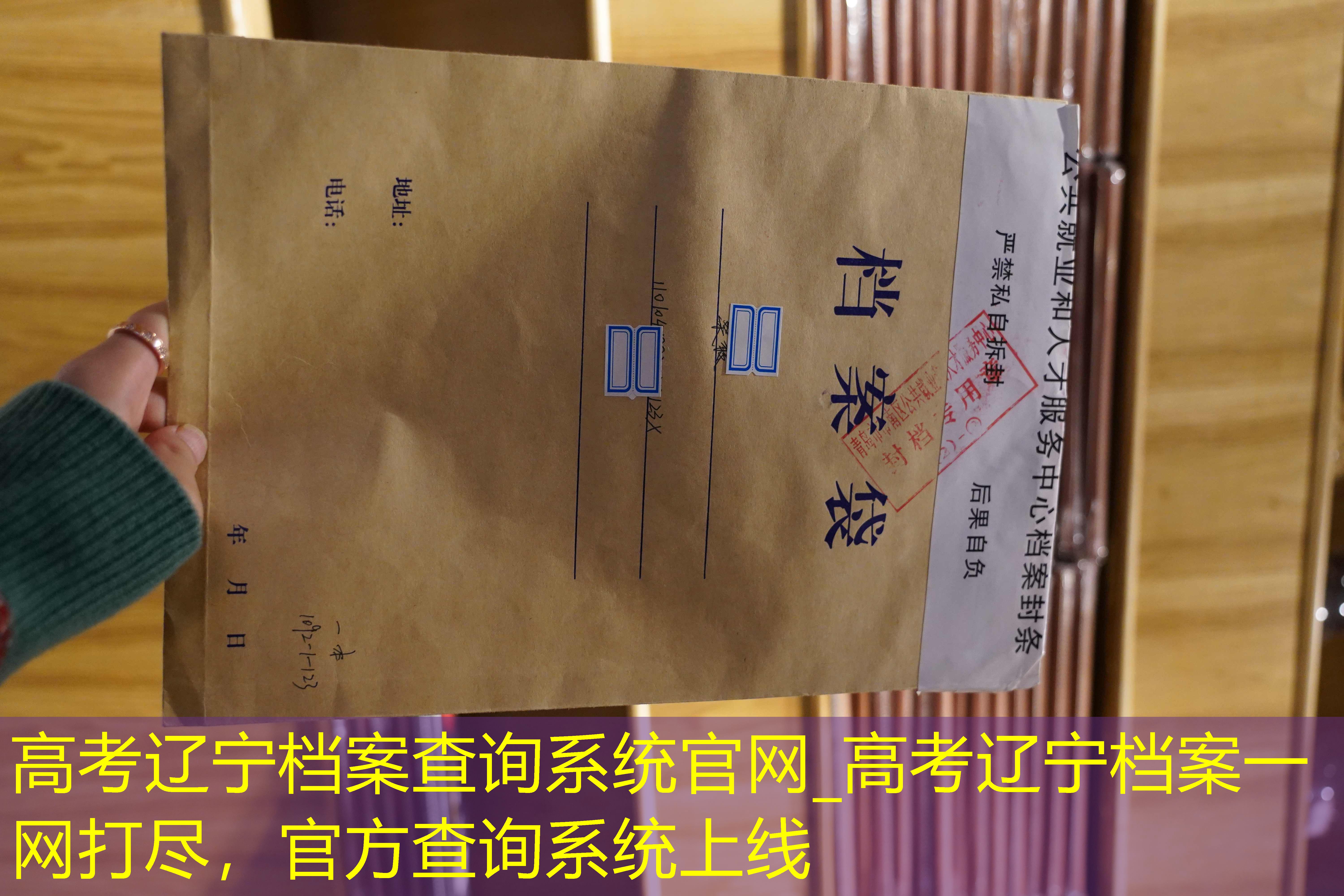 档案查询