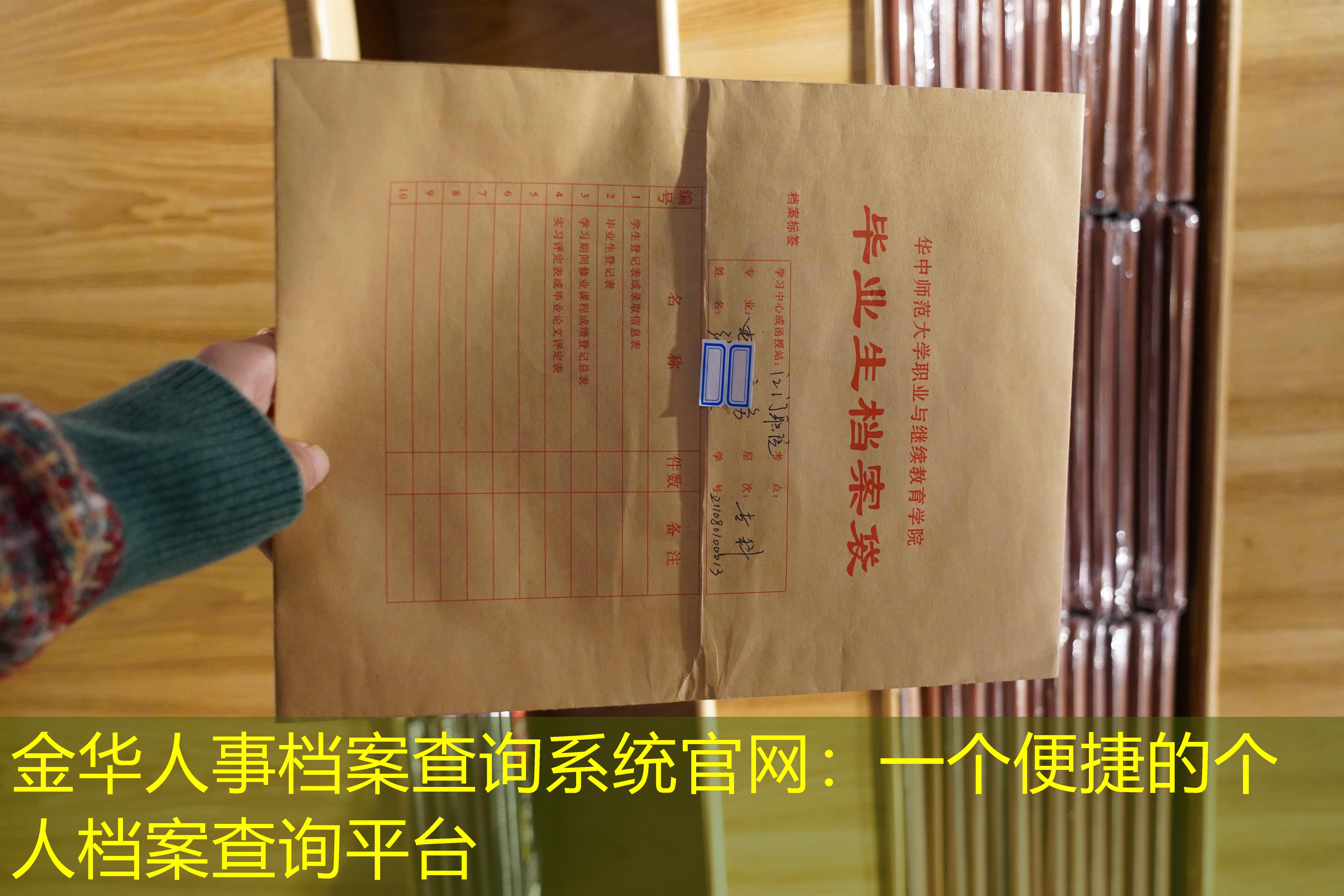 档案查询