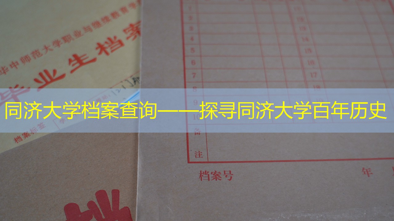 档案查询