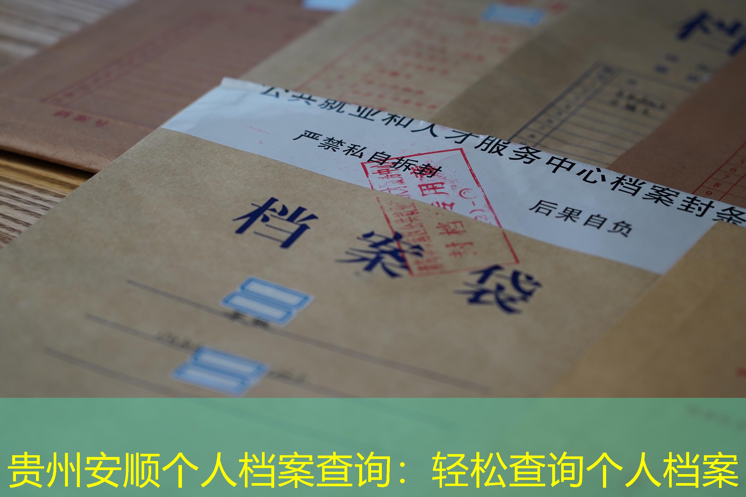档案查询