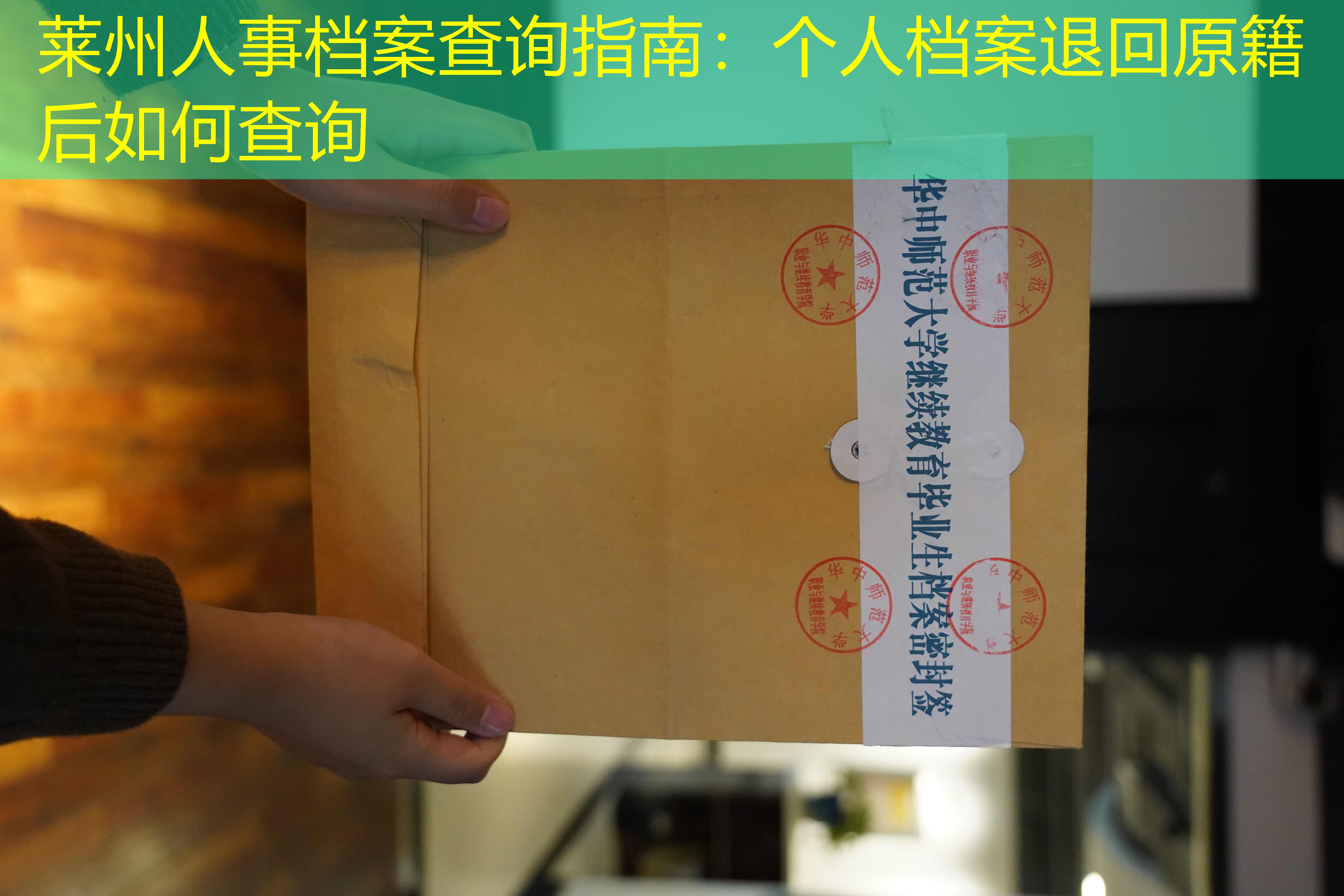 档案查询
