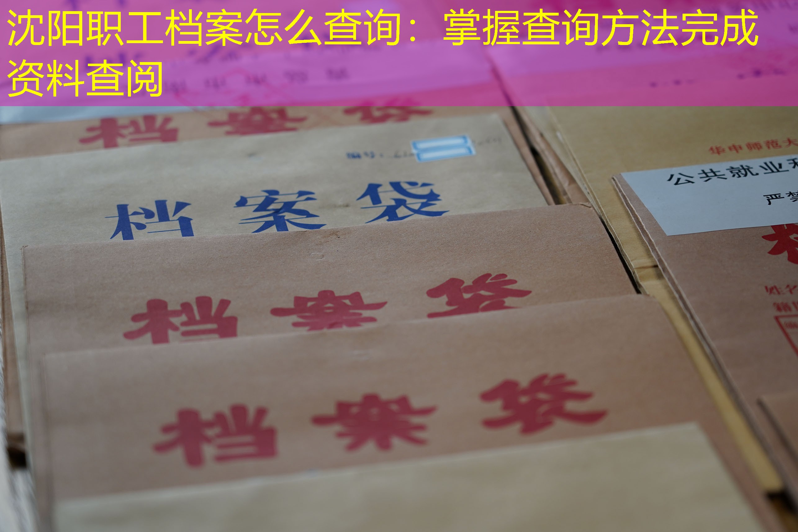 档案查询