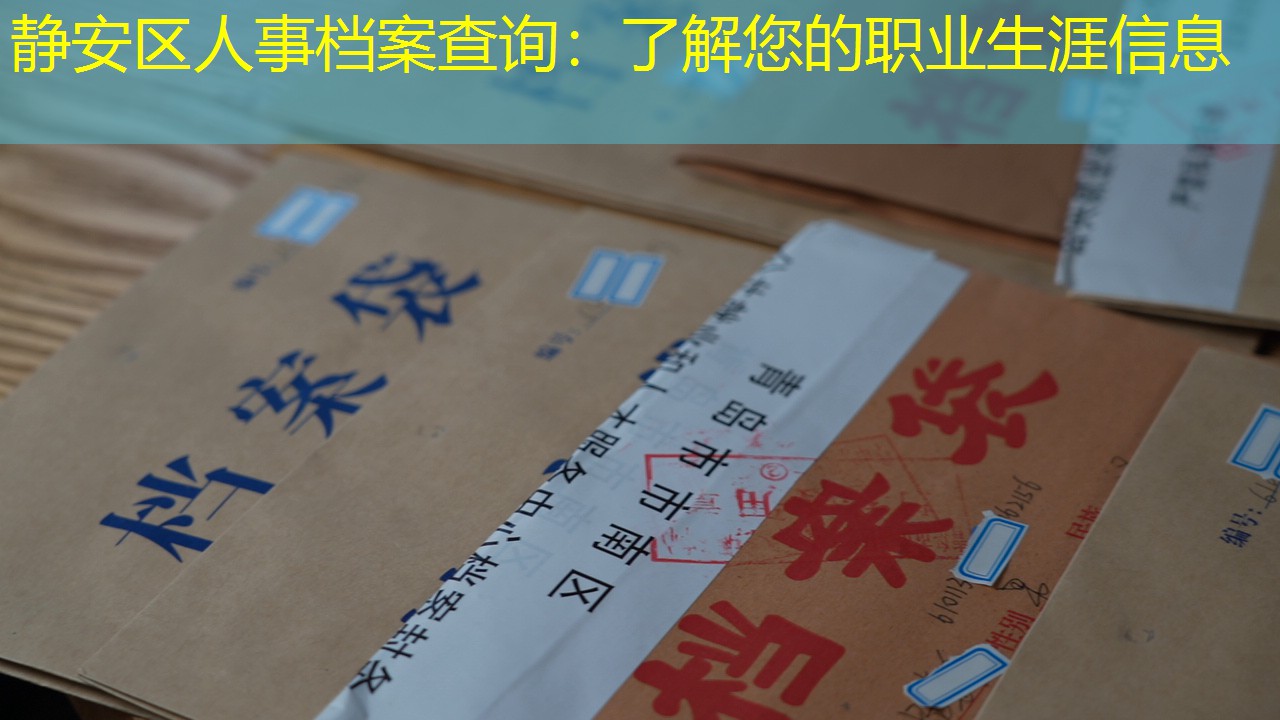 档案查询
