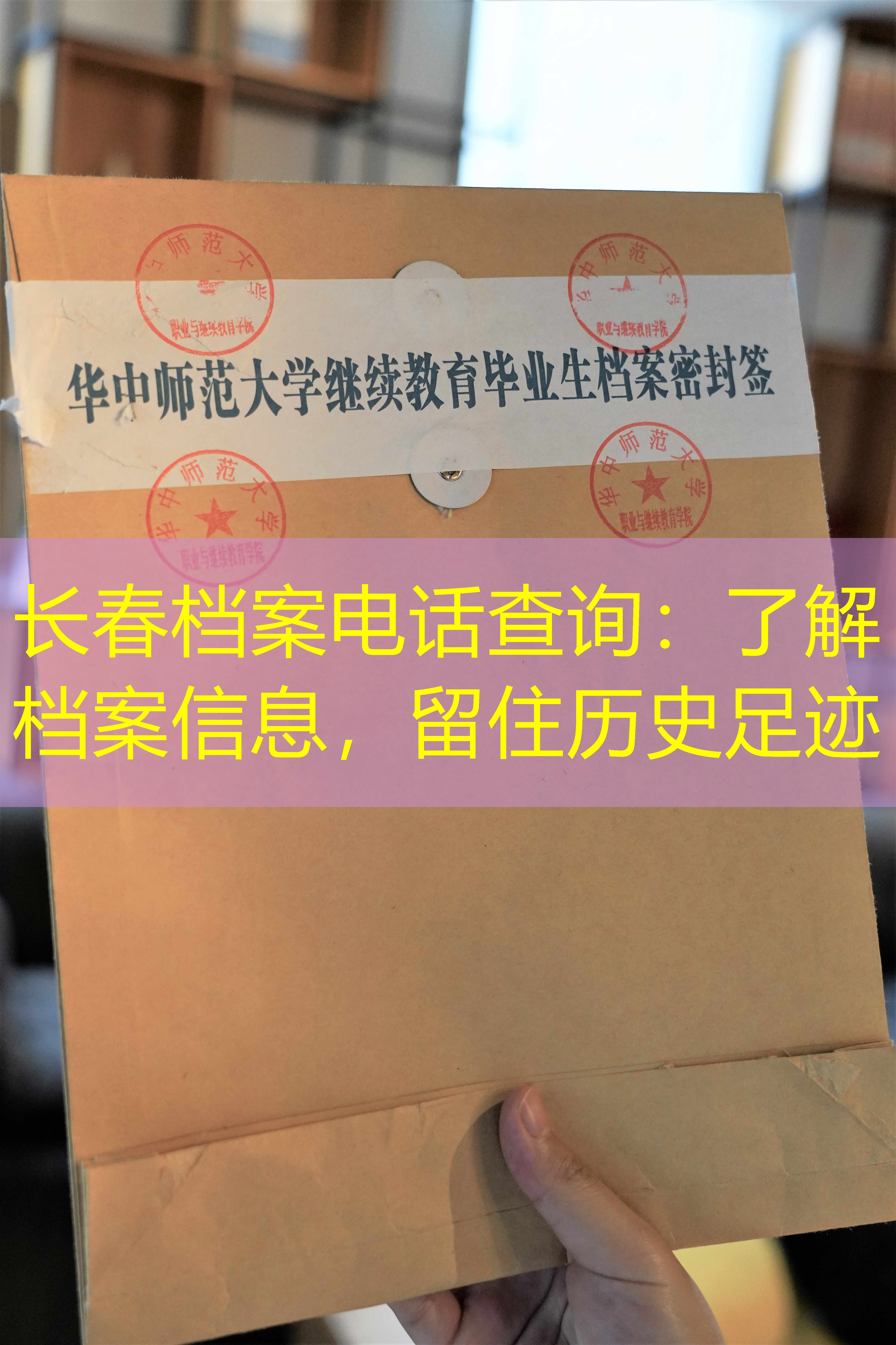档案查询