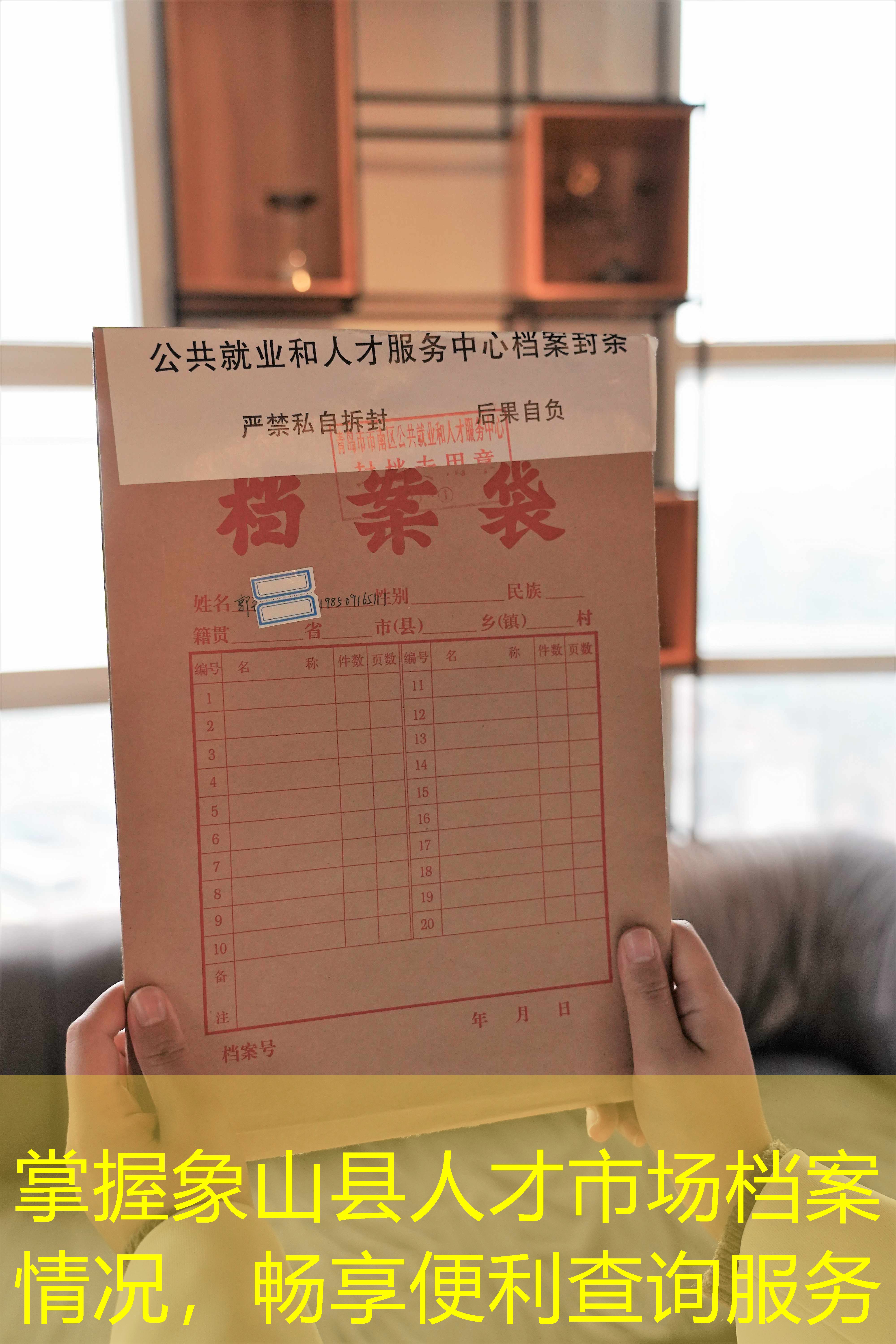 档案查询