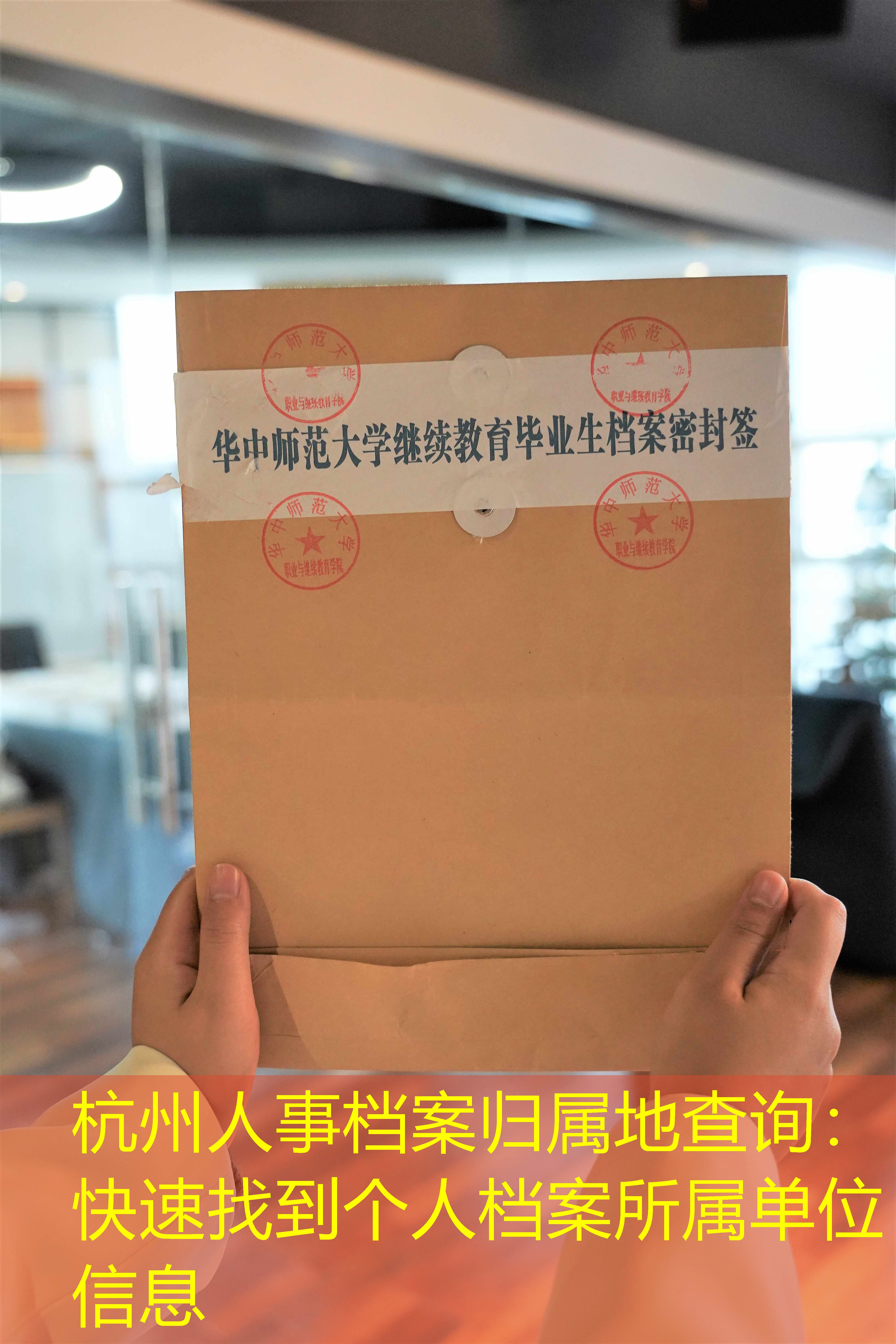 档案查询