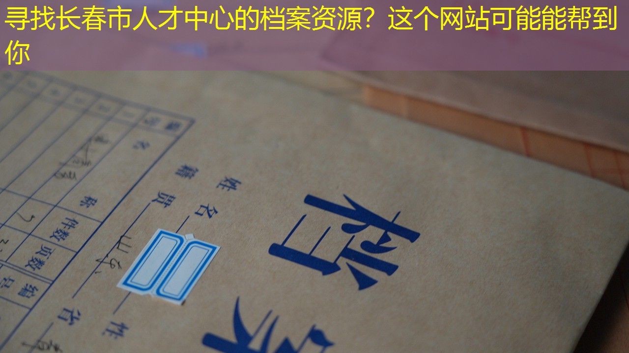 档案查询