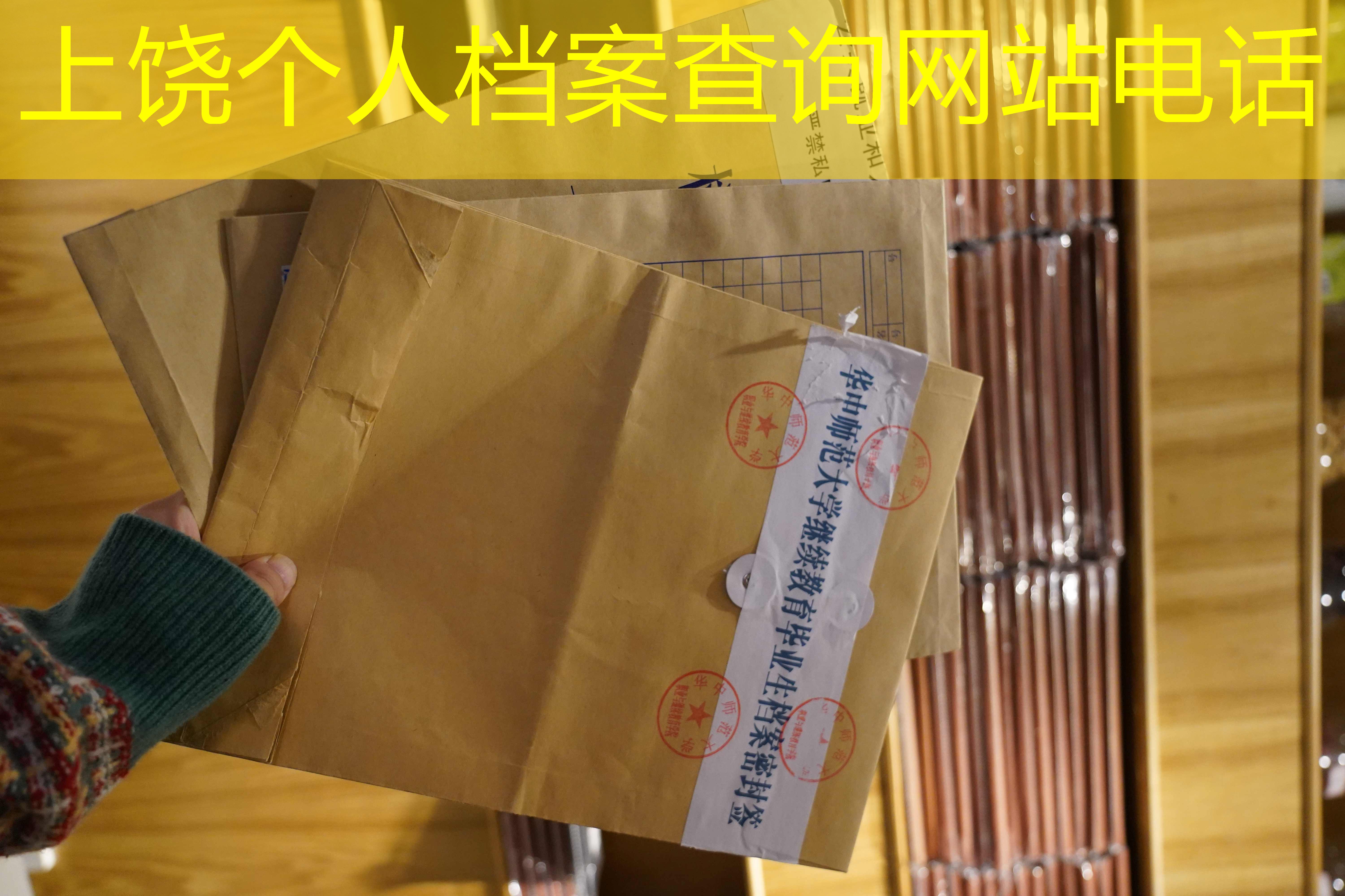 档案查询