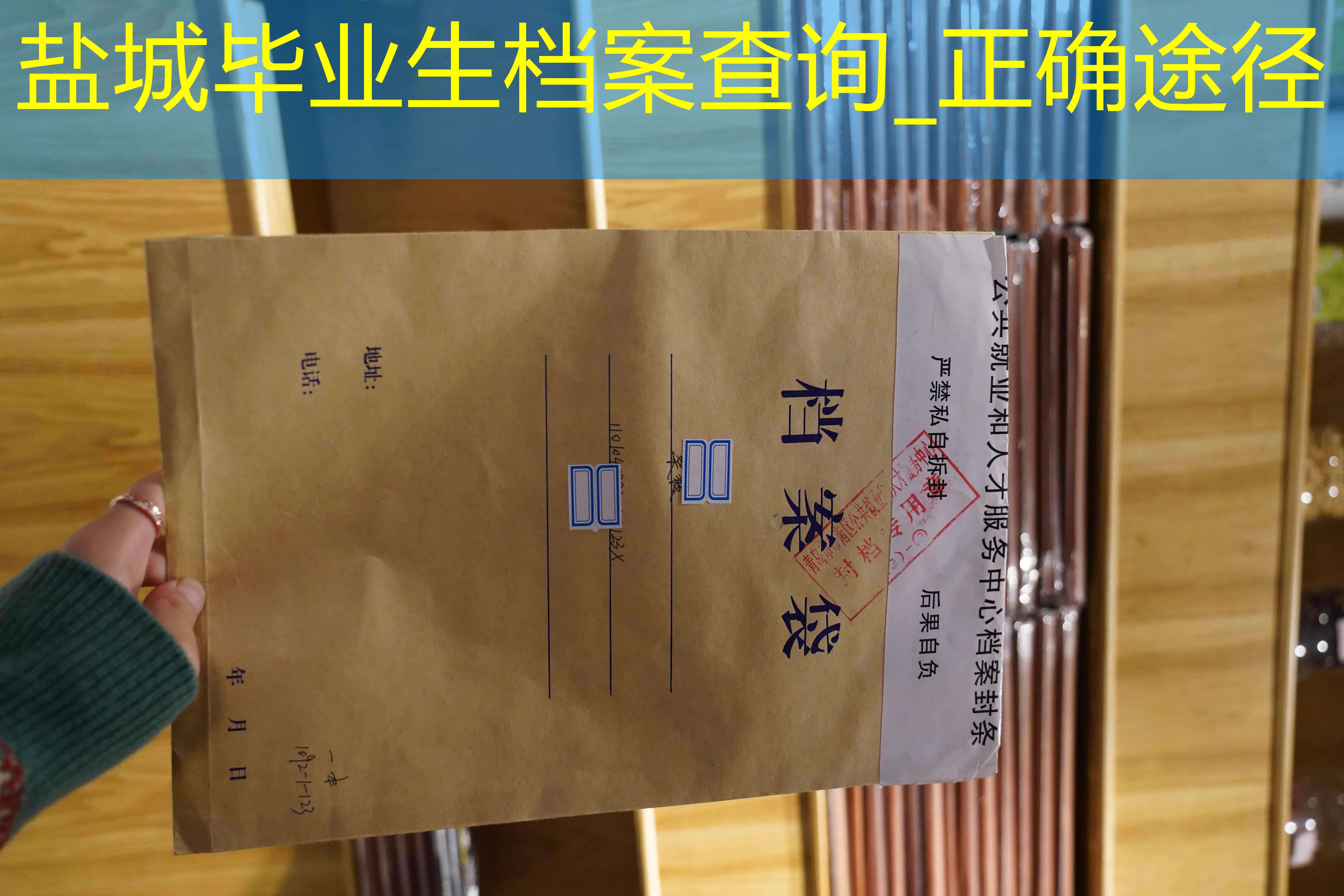 档案查询