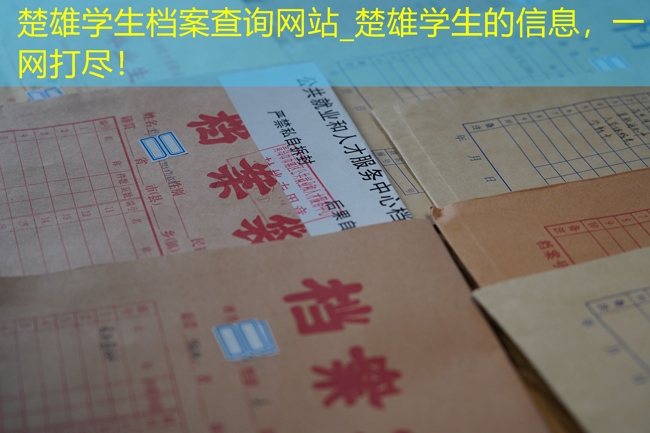 档案查询