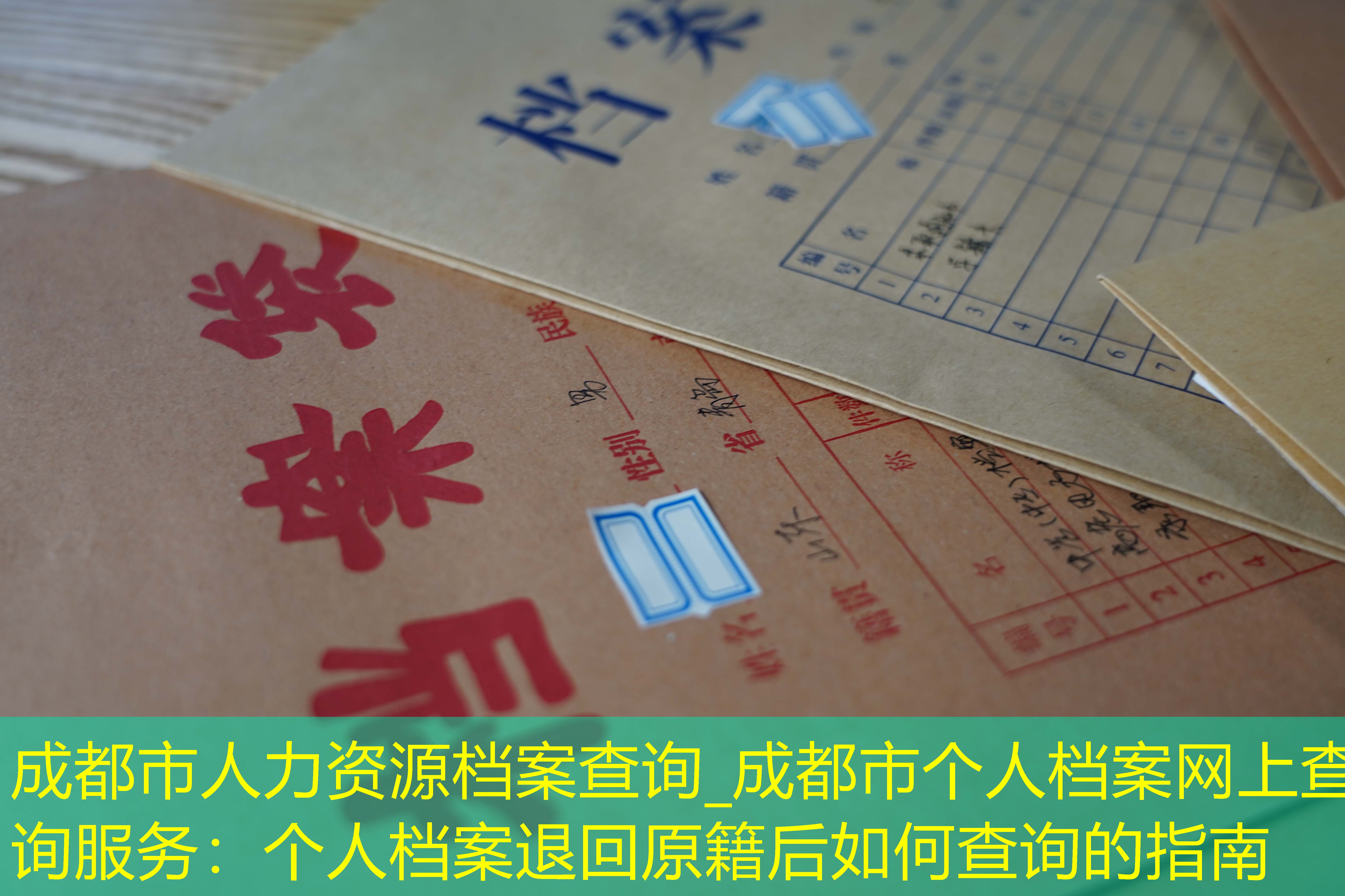 档案查询