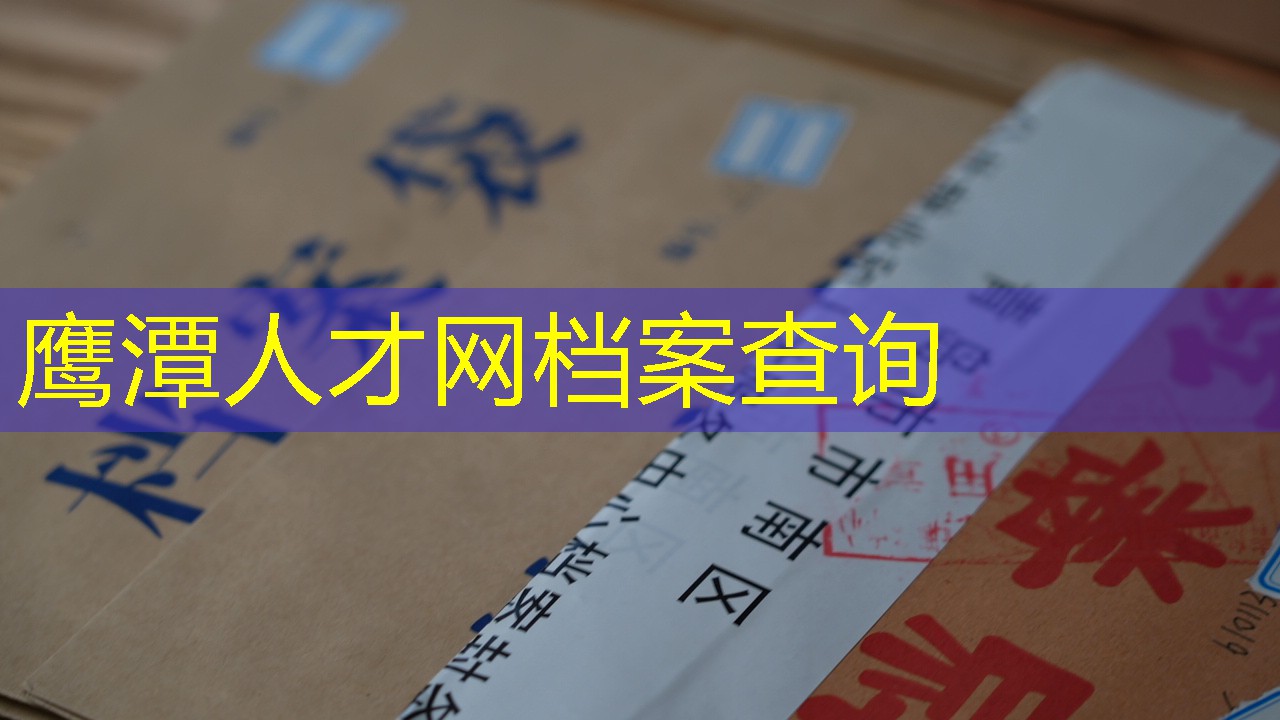 档案查询