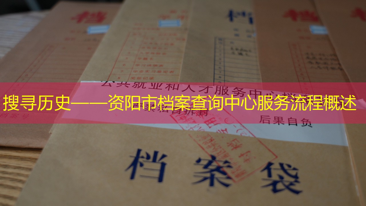 档案查询