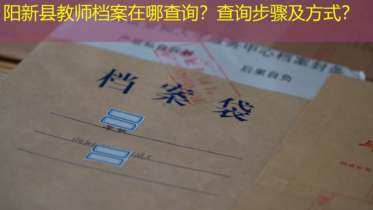 档案查询