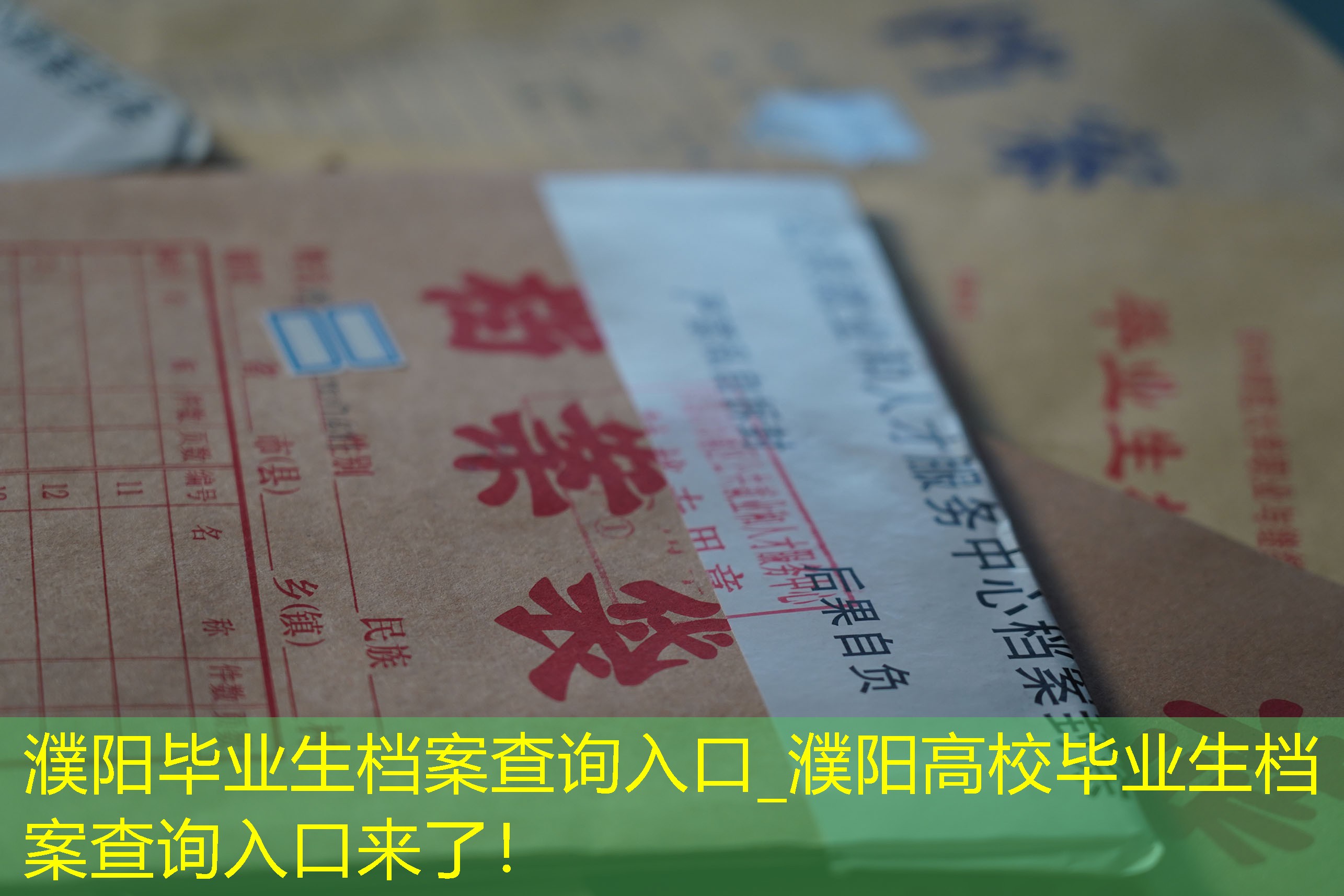 档案查询
